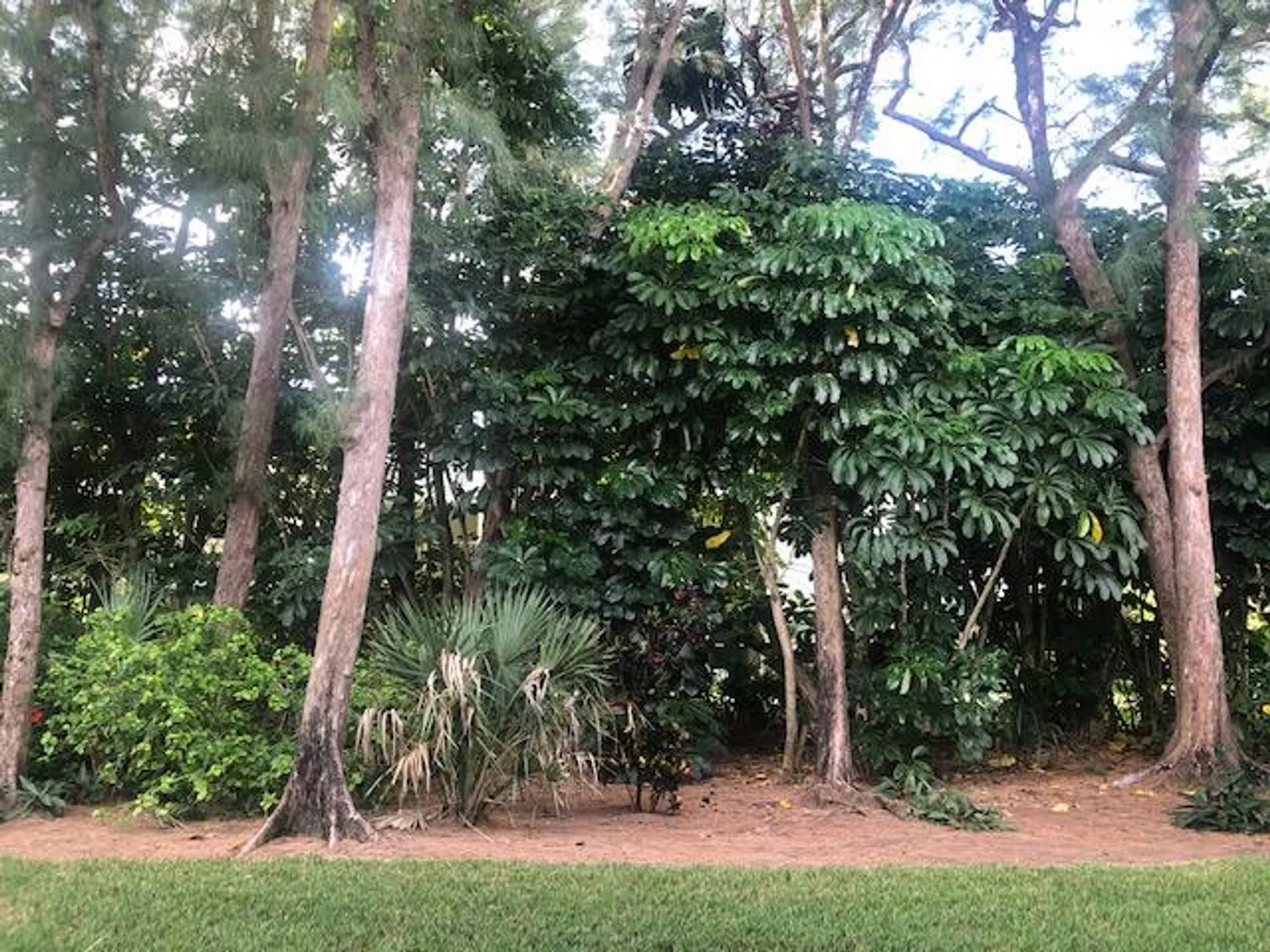 Property Slideshow image 16 of 18 | 1262 sugar sands blvd apt 127, Riviera Beach, FL, 33404