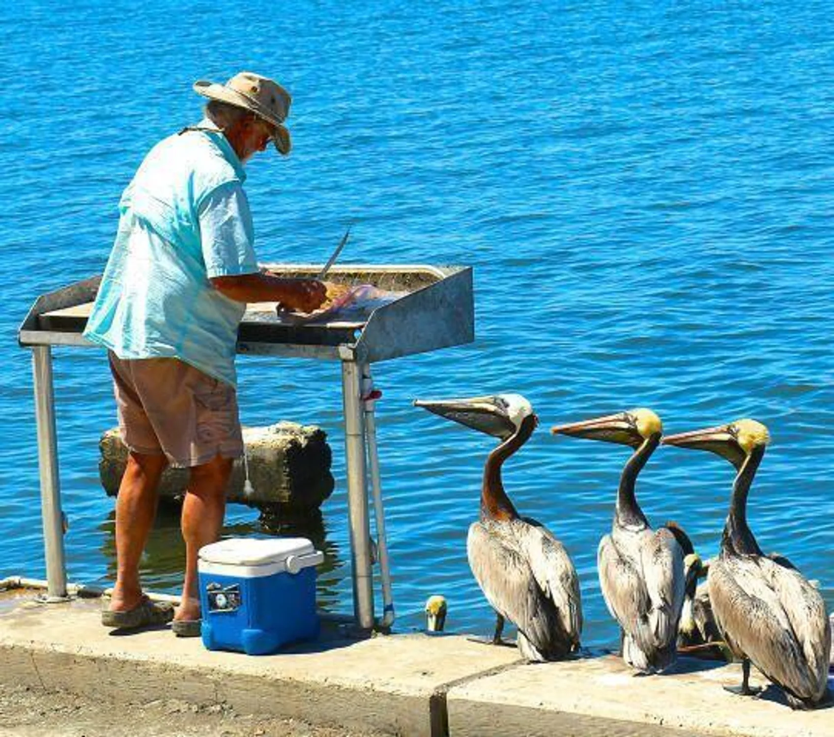 Property Slideshow image 66 of 68 | 469 nw blue lake dr, Port Saint Lucie, FL, 34986