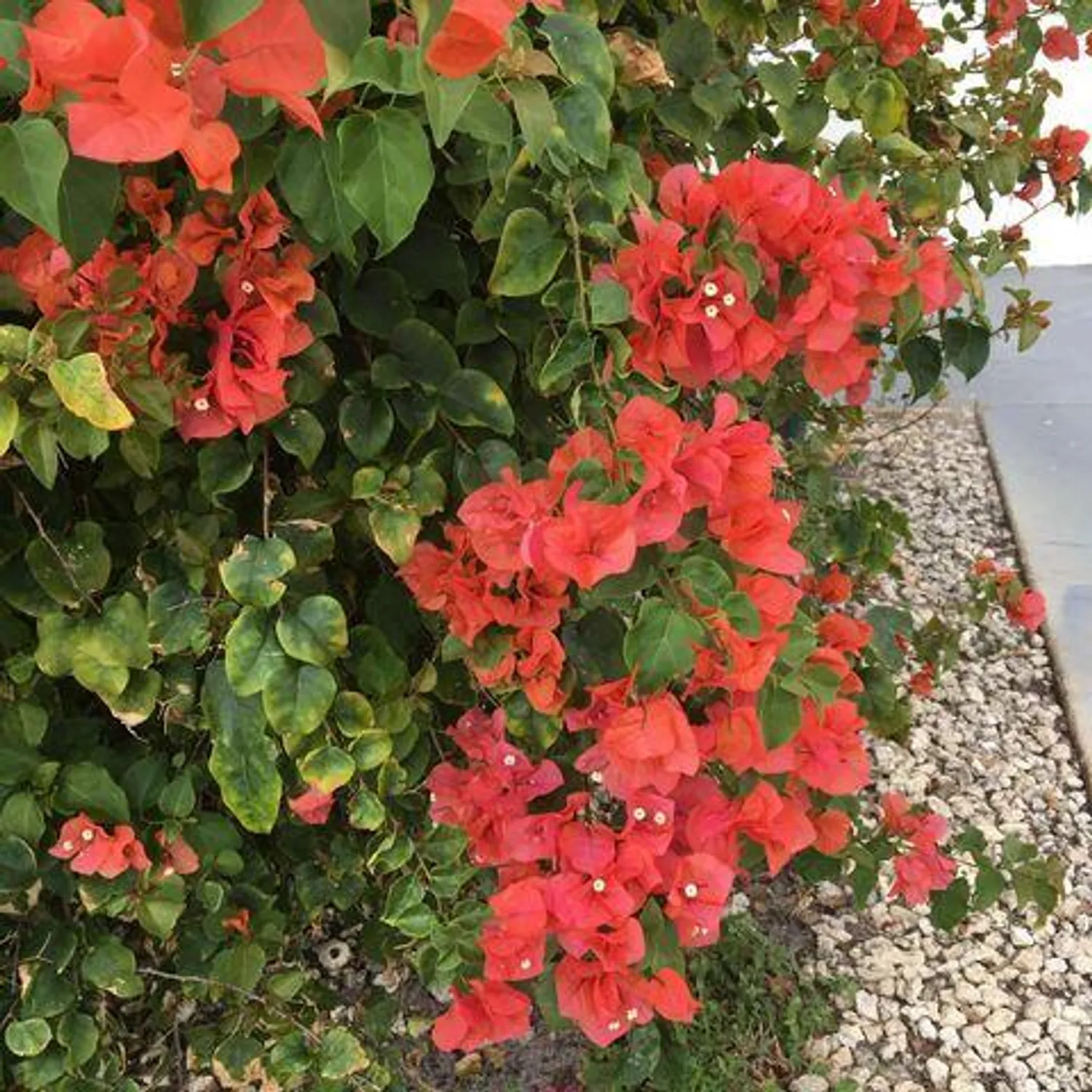 Property Slideshow image 19 of 19 | 144 norwich f, West Palm Beach, FL, 33417