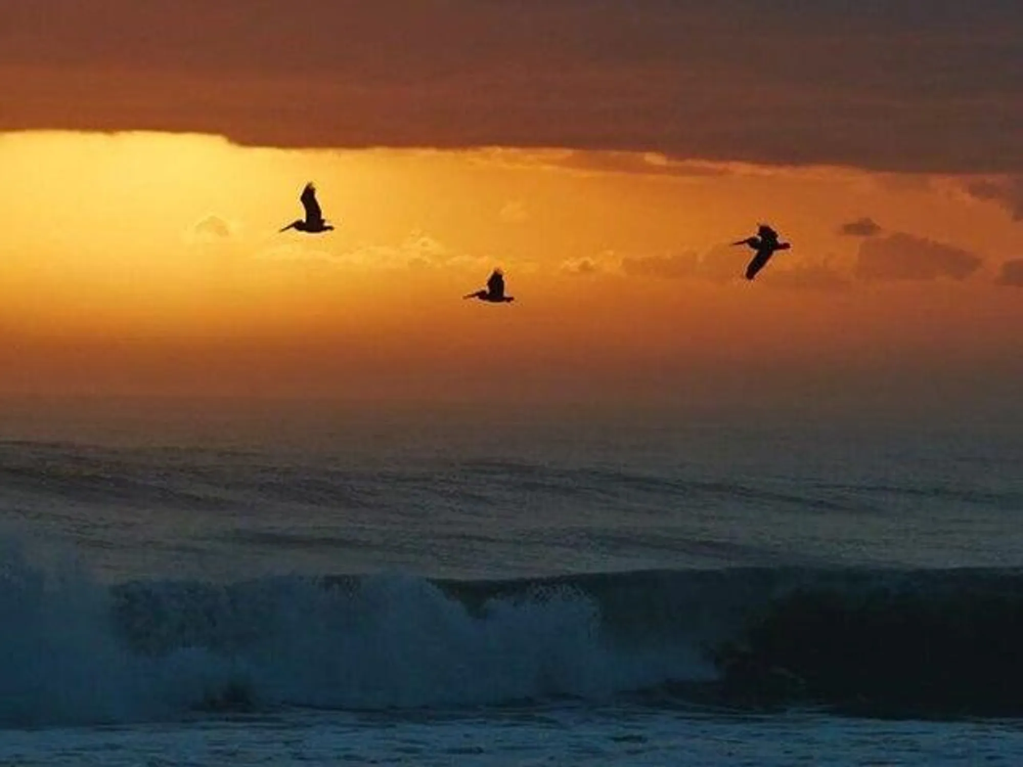 Property Slideshow image 60 of 60 | 620 horizons 201, Boynton Beach, FL, 33435