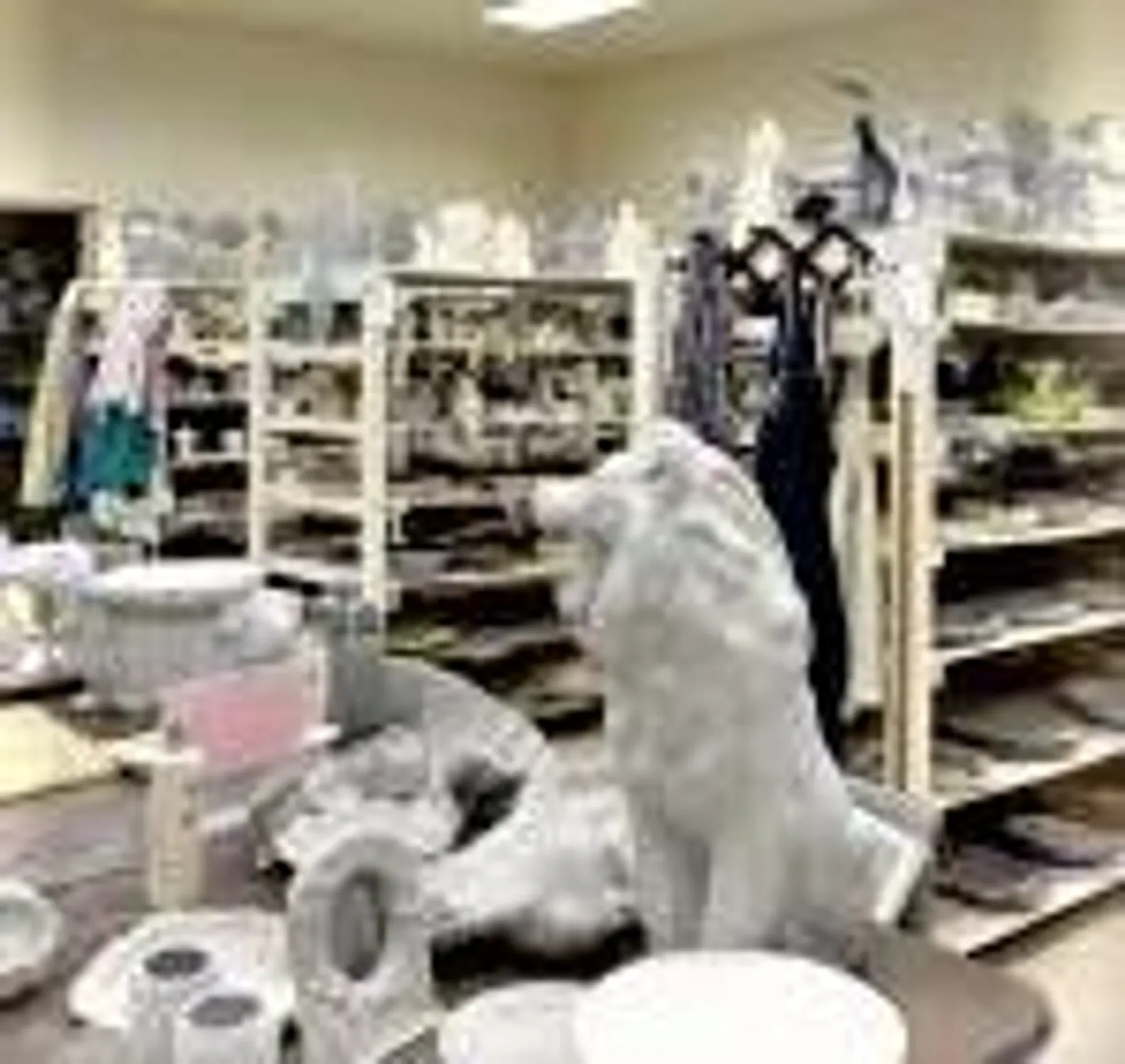 Property Slideshow image 33 of 50 | 20 saxony a, Delray Beach, FL, 33446