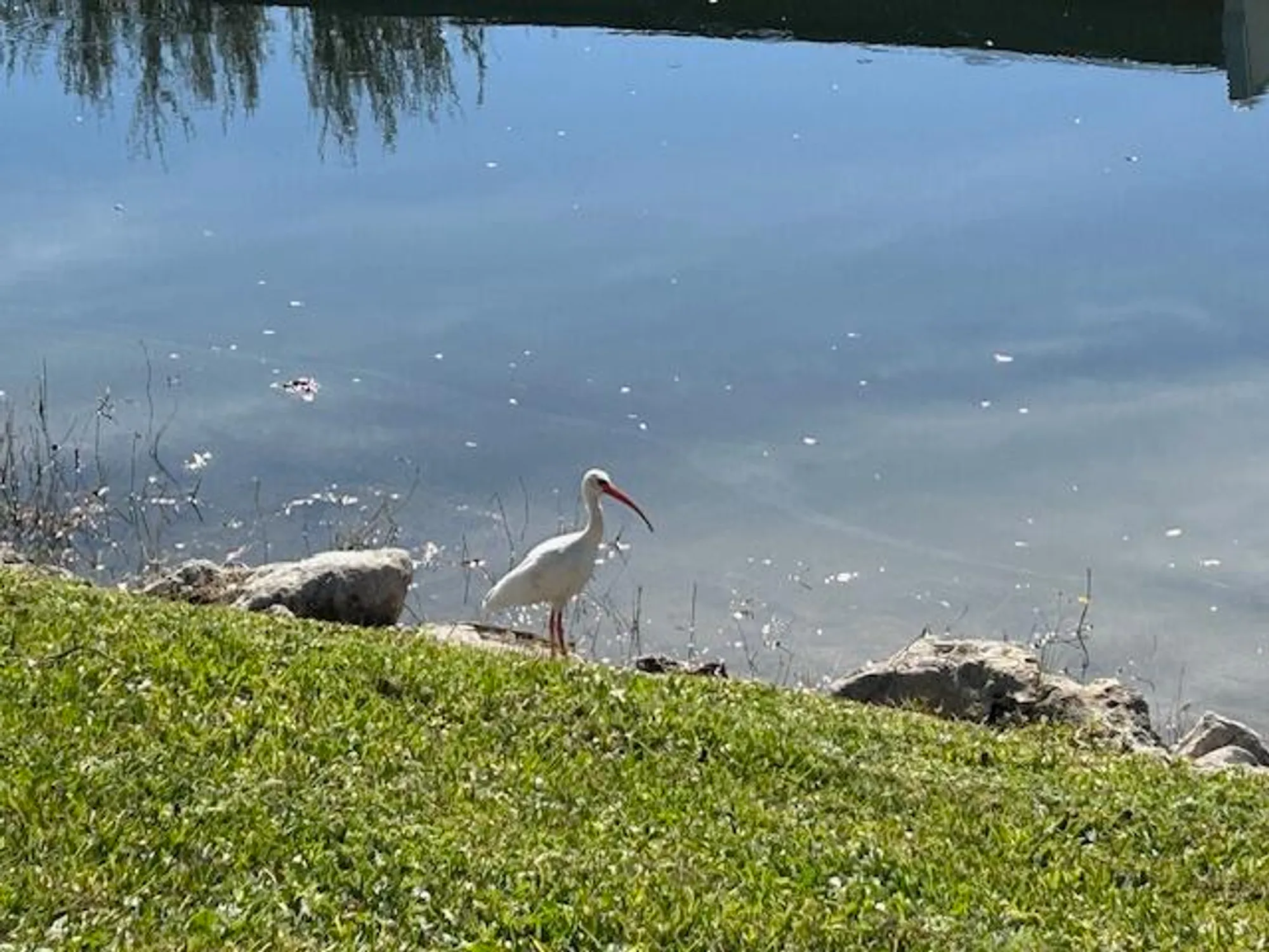 Property Slideshow image 40 of 41 | 131 lake gloria dr, West Palm Beach, FL, 33411