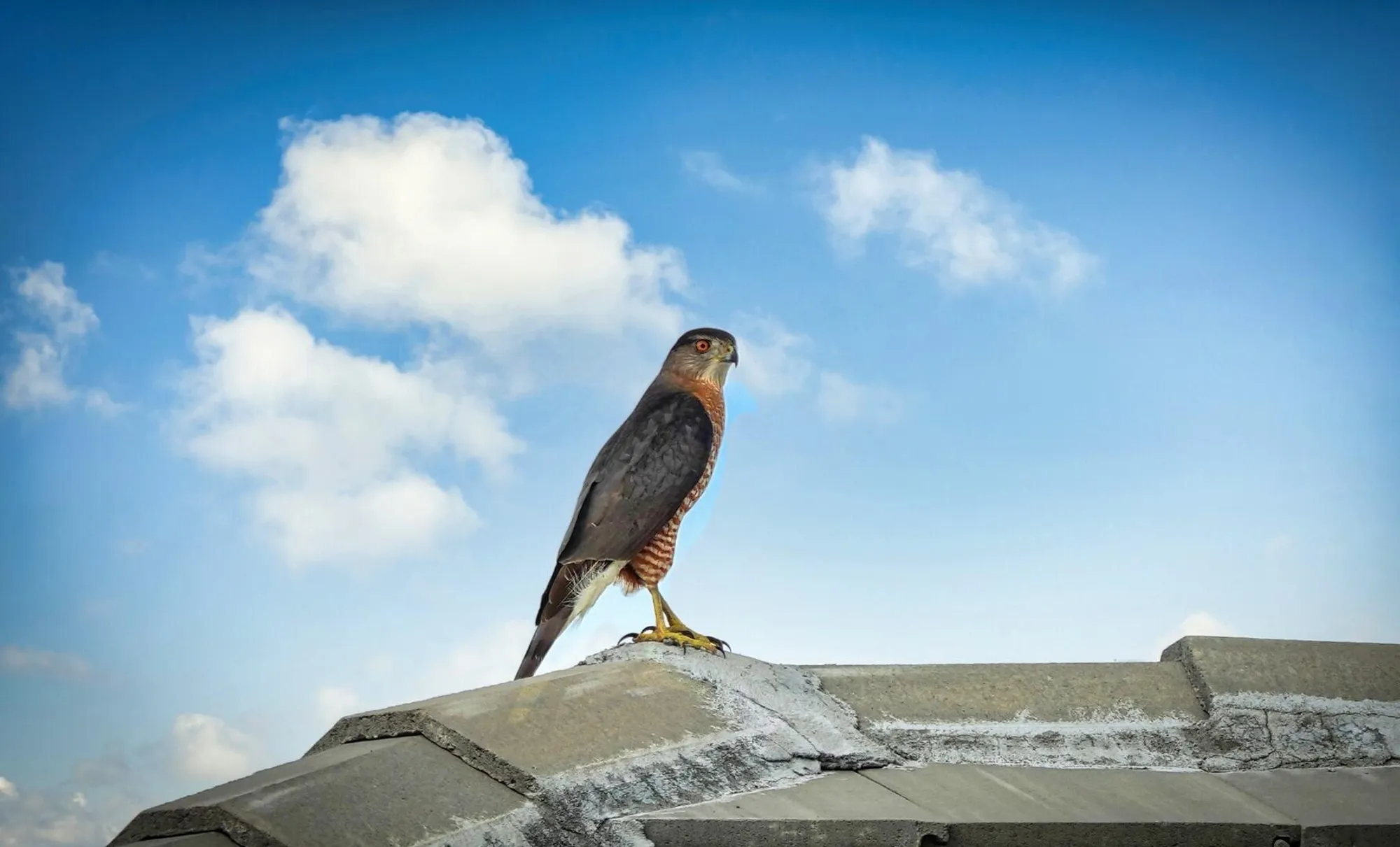 Property Slideshow image 31 of 44 | 27064 sw viterbo way, Port Saint Lucie, FL, 34986