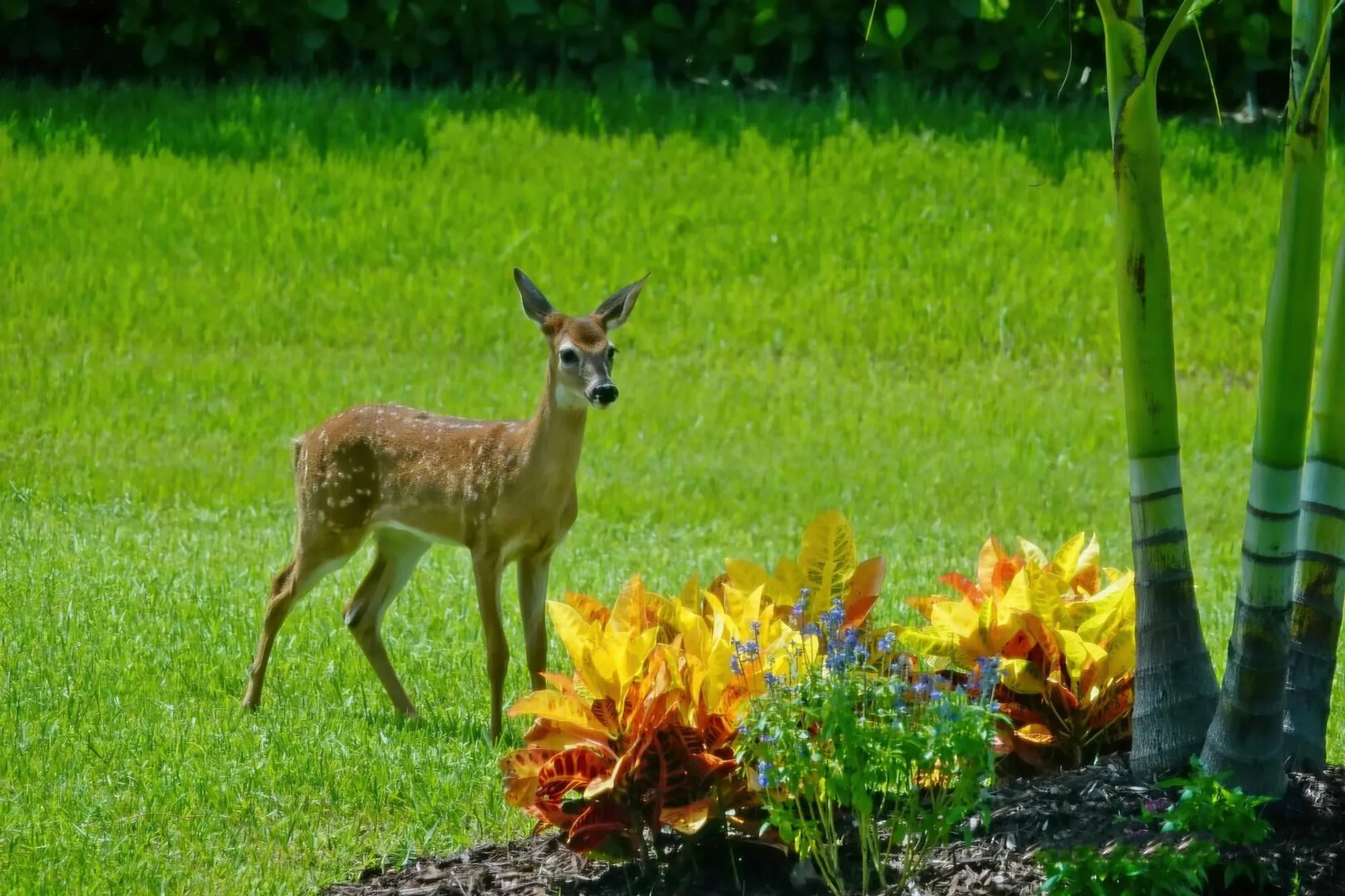 Property Slideshow image 27 of 44 | 27064 sw viterbo way, Port Saint Lucie, FL, 34986