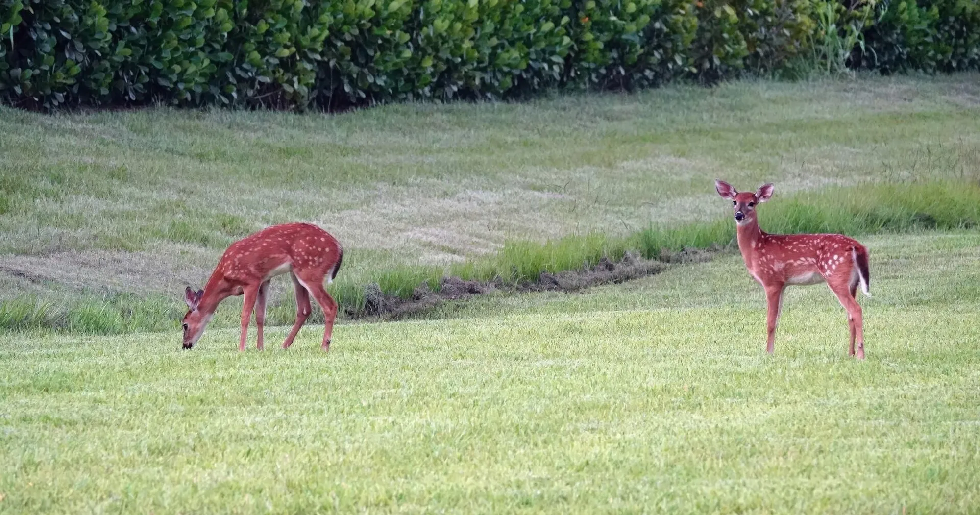 Property Slideshow image 29 of 44 | 27064 sw viterbo way, Port Saint Lucie, FL, 34986