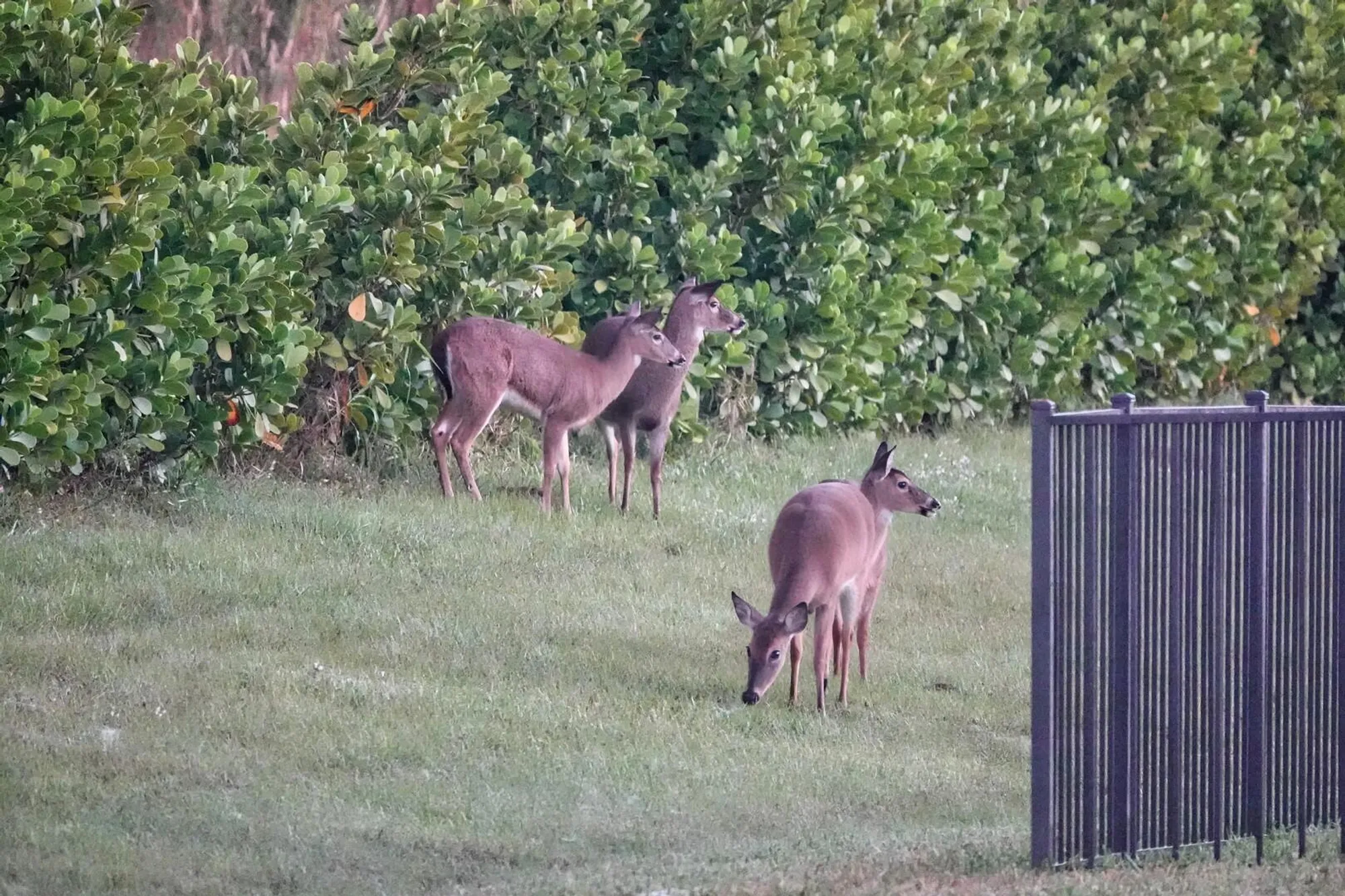 Property Slideshow image 30 of 44 | 27064 sw viterbo way, Port Saint Lucie, FL, 34986