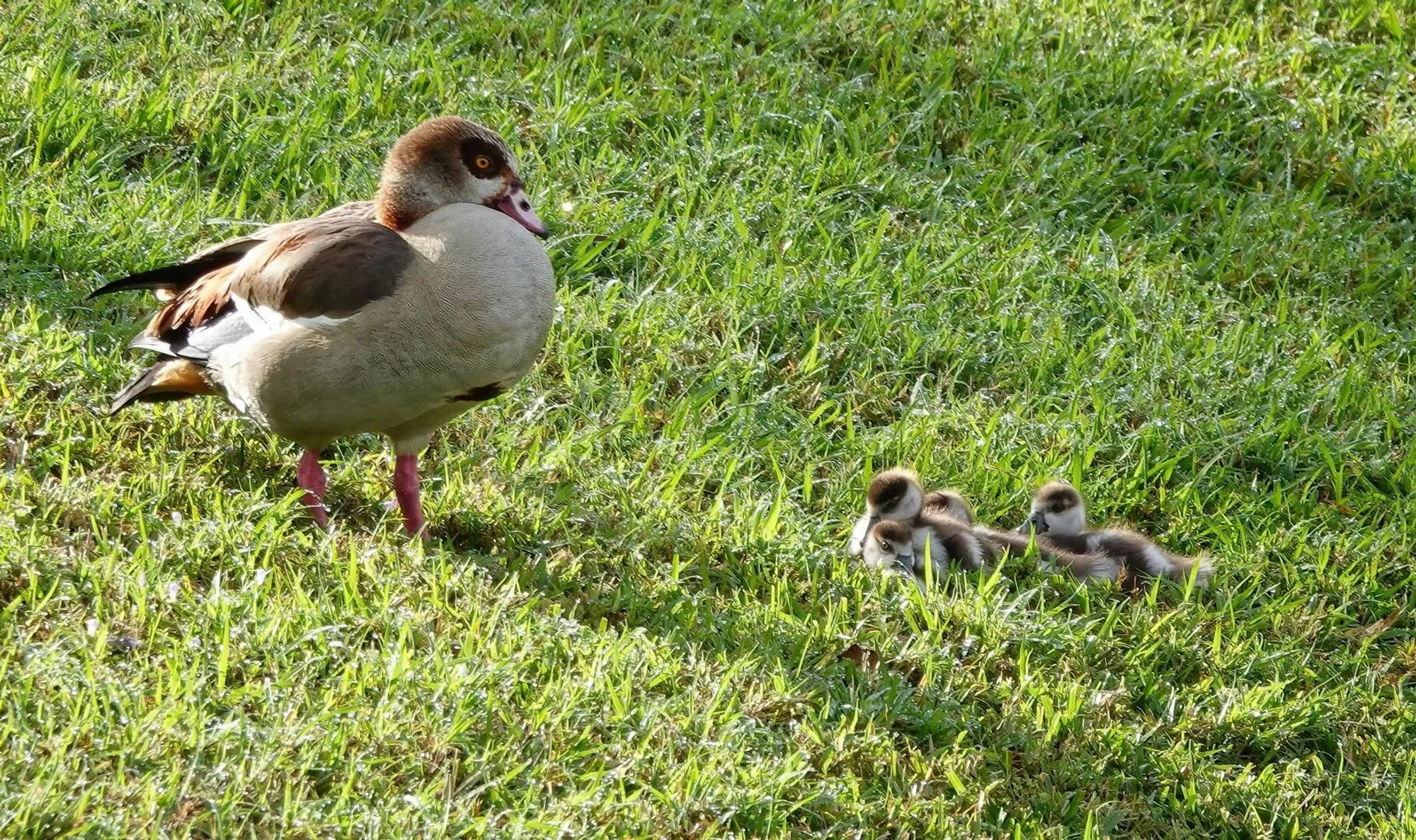 Property Slideshow image 34 of 44 | 27064 sw viterbo way, Port Saint Lucie, FL, 34986