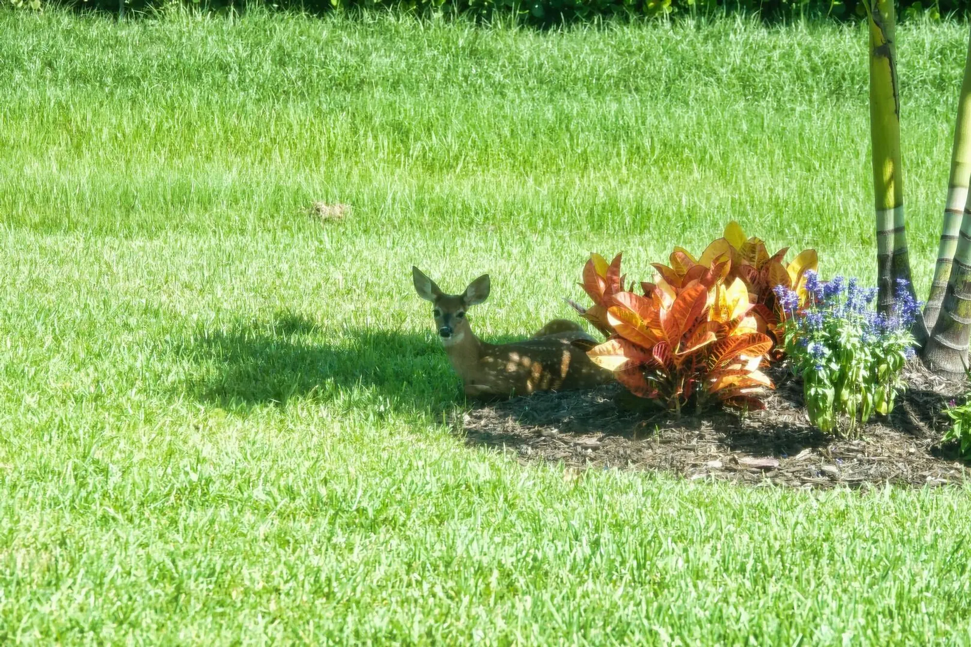 Property Slideshow image 28 of 44 | 27064 sw viterbo way, Port Saint Lucie, FL, 34986