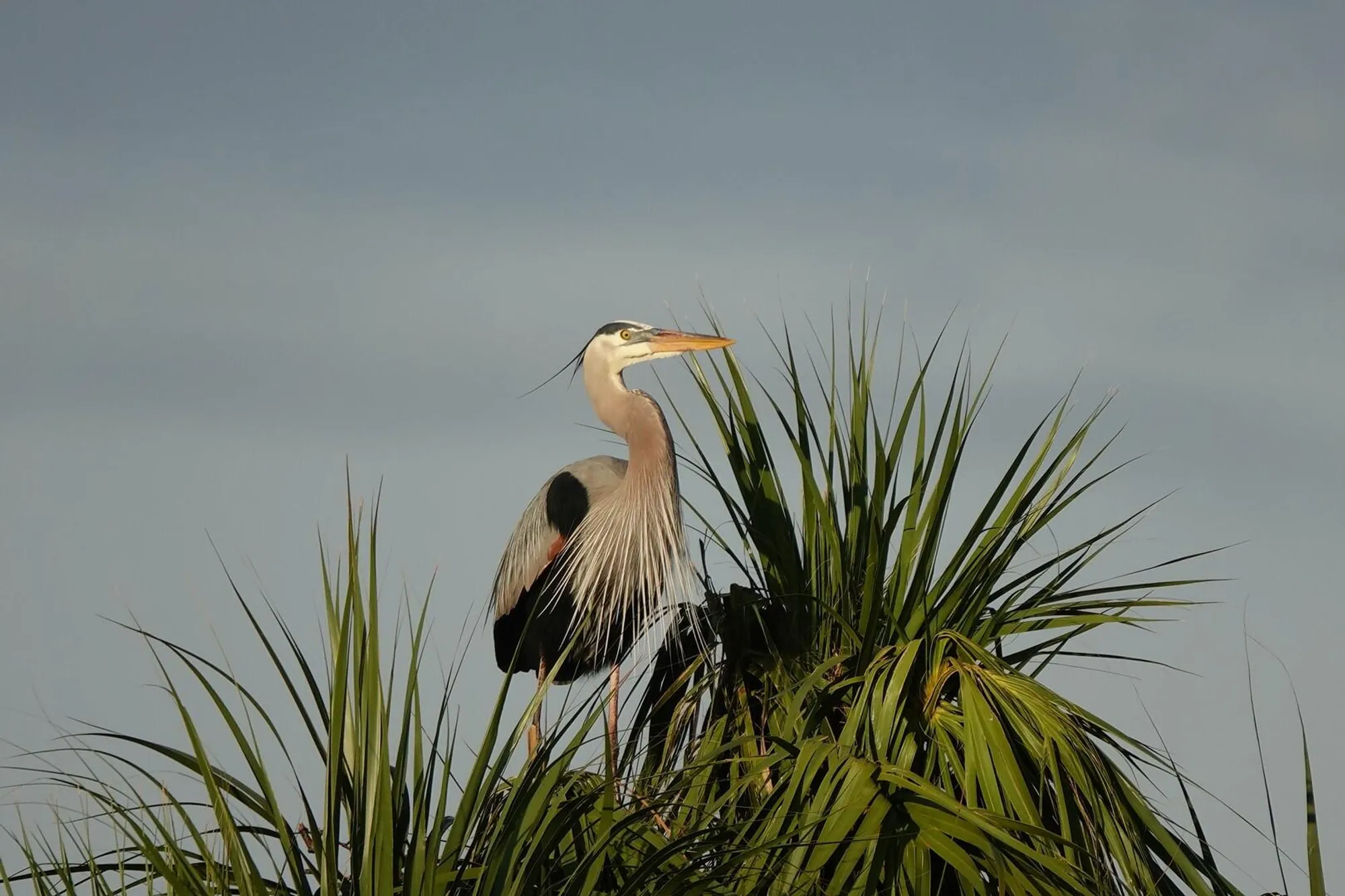 Property Slideshow image 33 of 44 | 27064 sw viterbo way, Port Saint Lucie, FL, 34986