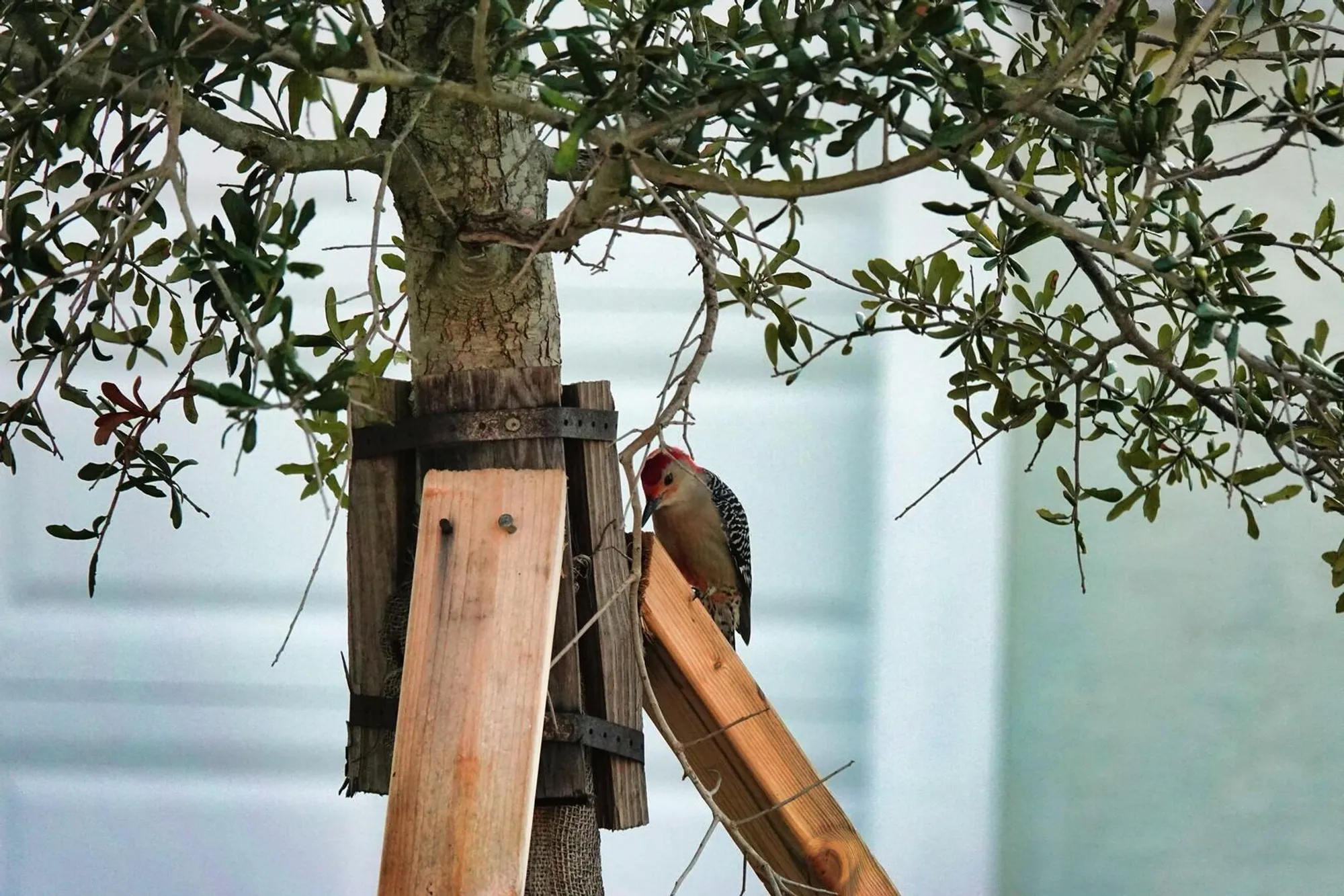 Property Slideshow image 38 of 44 | 27064 sw viterbo way, Port Saint Lucie, FL, 34986