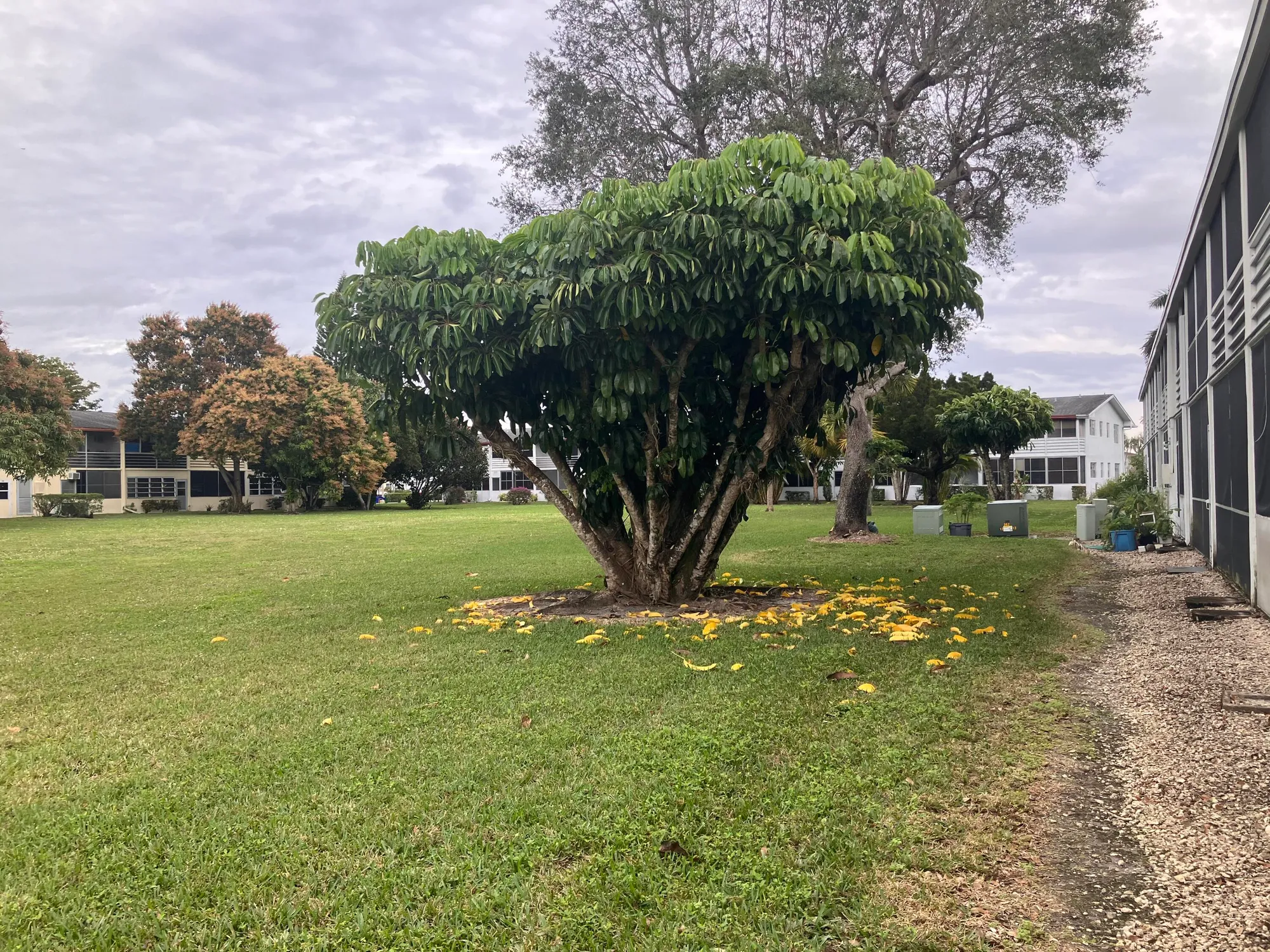 Property Slideshow image 30 of 30 | 337 camden o, West Palm Beach, FL, 33417