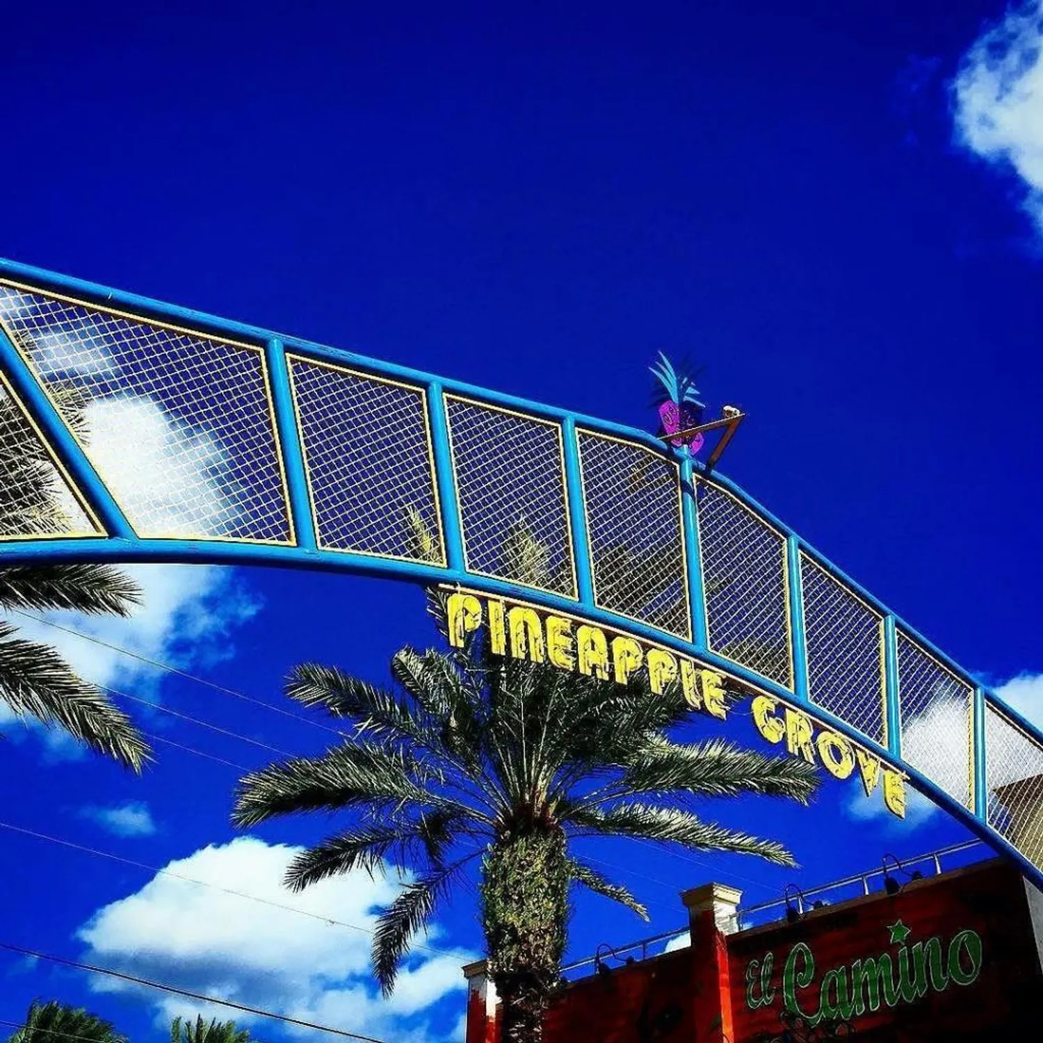 Property Slideshow image 61 of 67 | 5190 las verdes cir 224, Delray Beach, FL, 33484