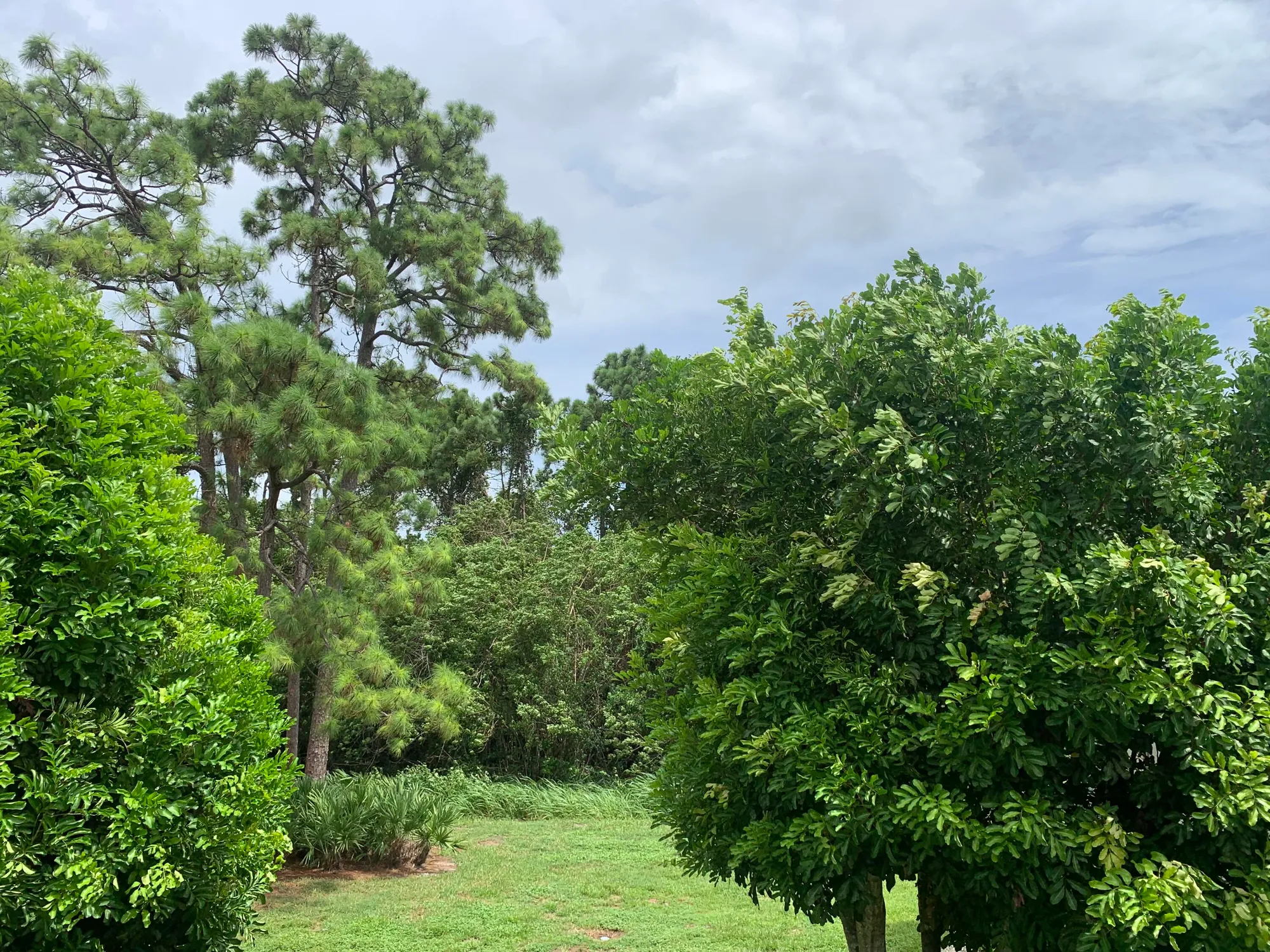 Property Slideshow image 19 of 20 | 29 lake vista trl 201, Port Saint Lucie, FL, 34952