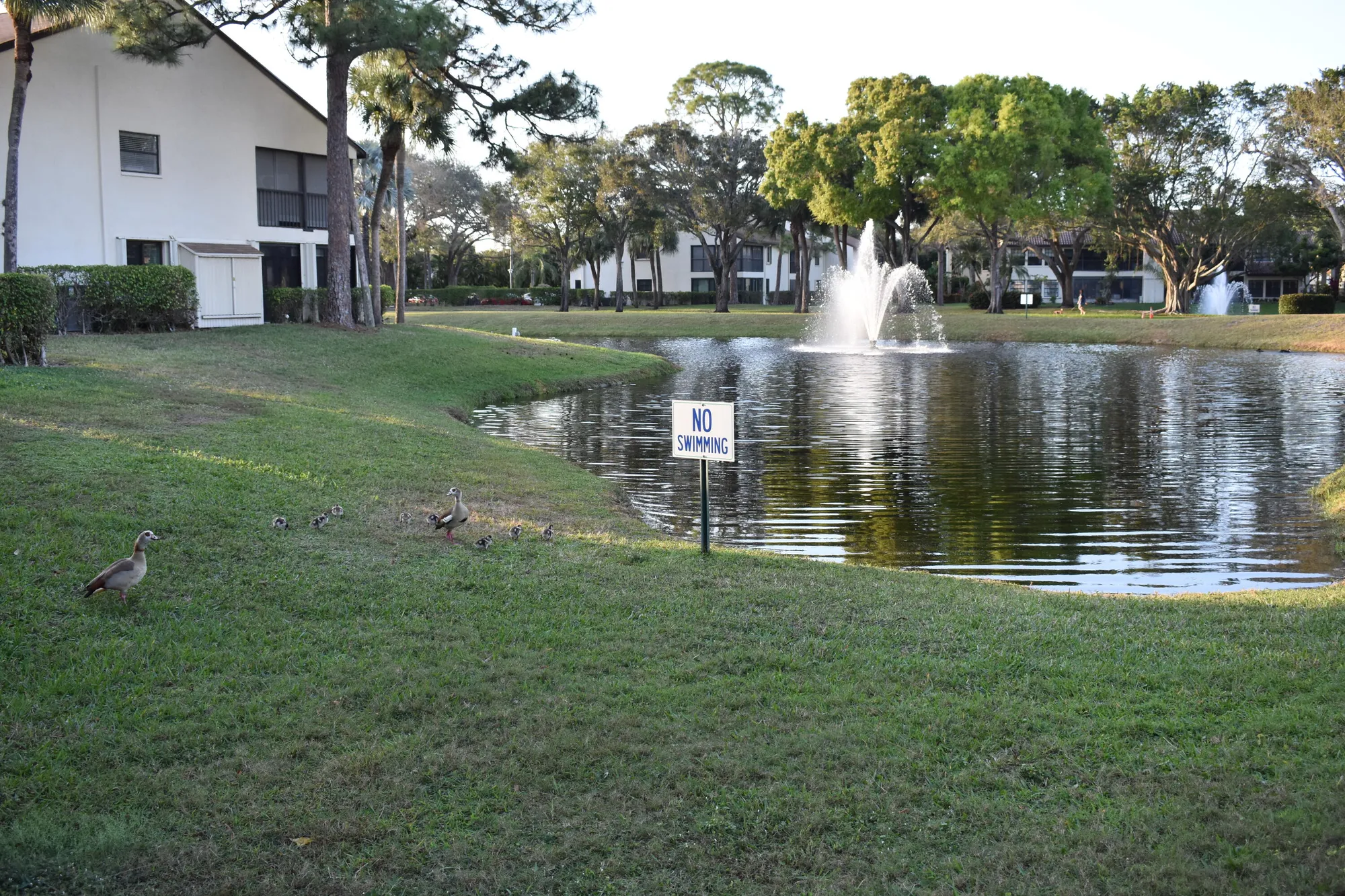 Property Slideshow image 27 of 40 | 3374 perimeter dr, Greenacres, FL, 33467