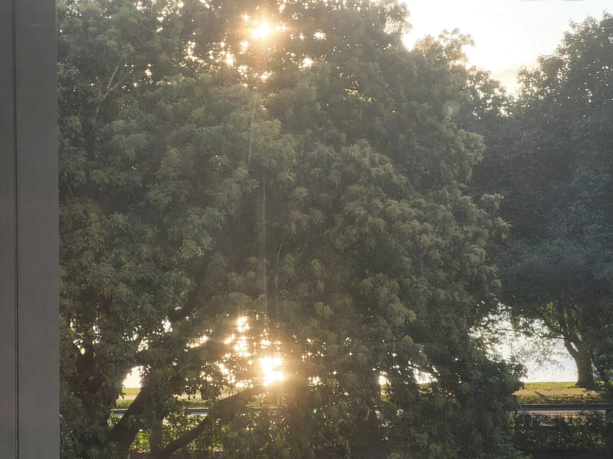 Property Slideshow image 31 of 45 | 5900 nw 44th st apt 403, Lauderhill, FL, 33319