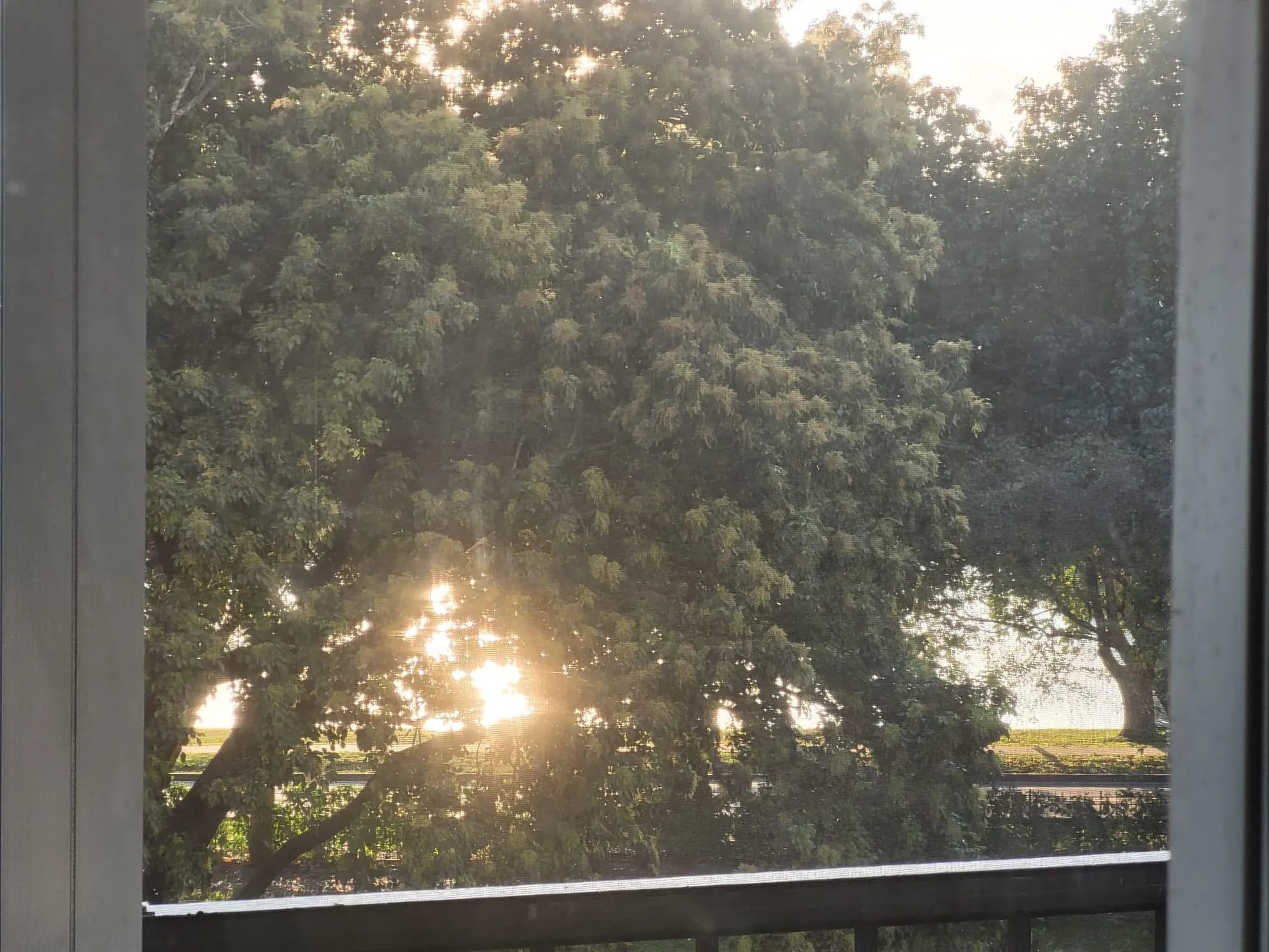 Property Slideshow image 32 of 45 | 5900 nw 44th st apt 403, Lauderhill, FL, 33319