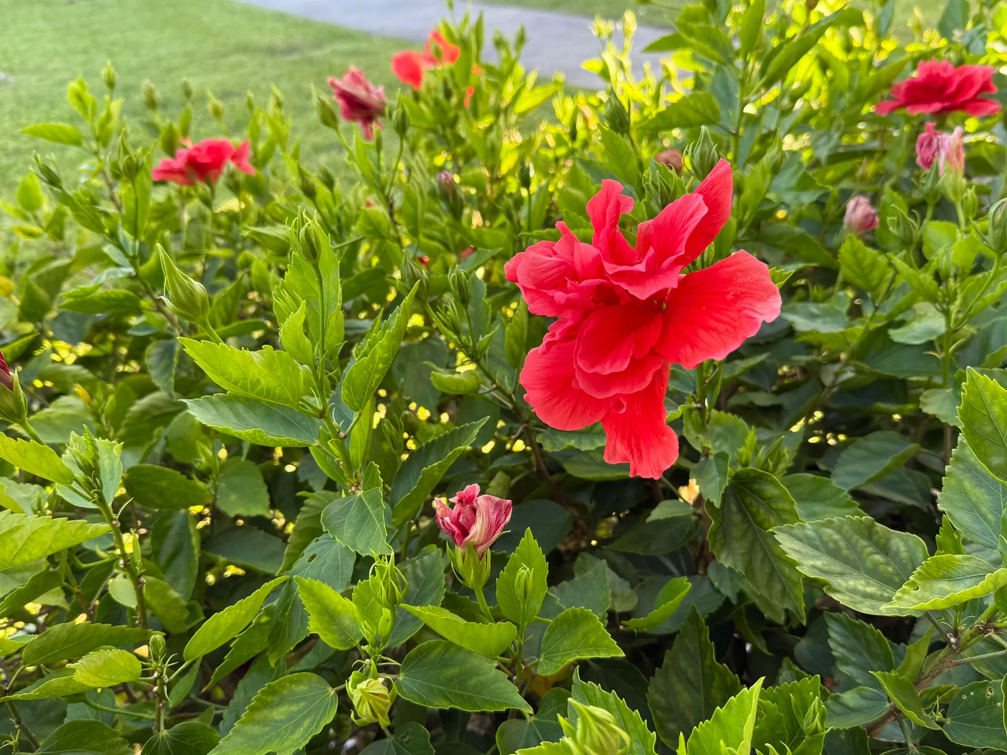 Property Slideshow image 4 of 20 | 81 camden d, West Palm Beach, FL, 33417