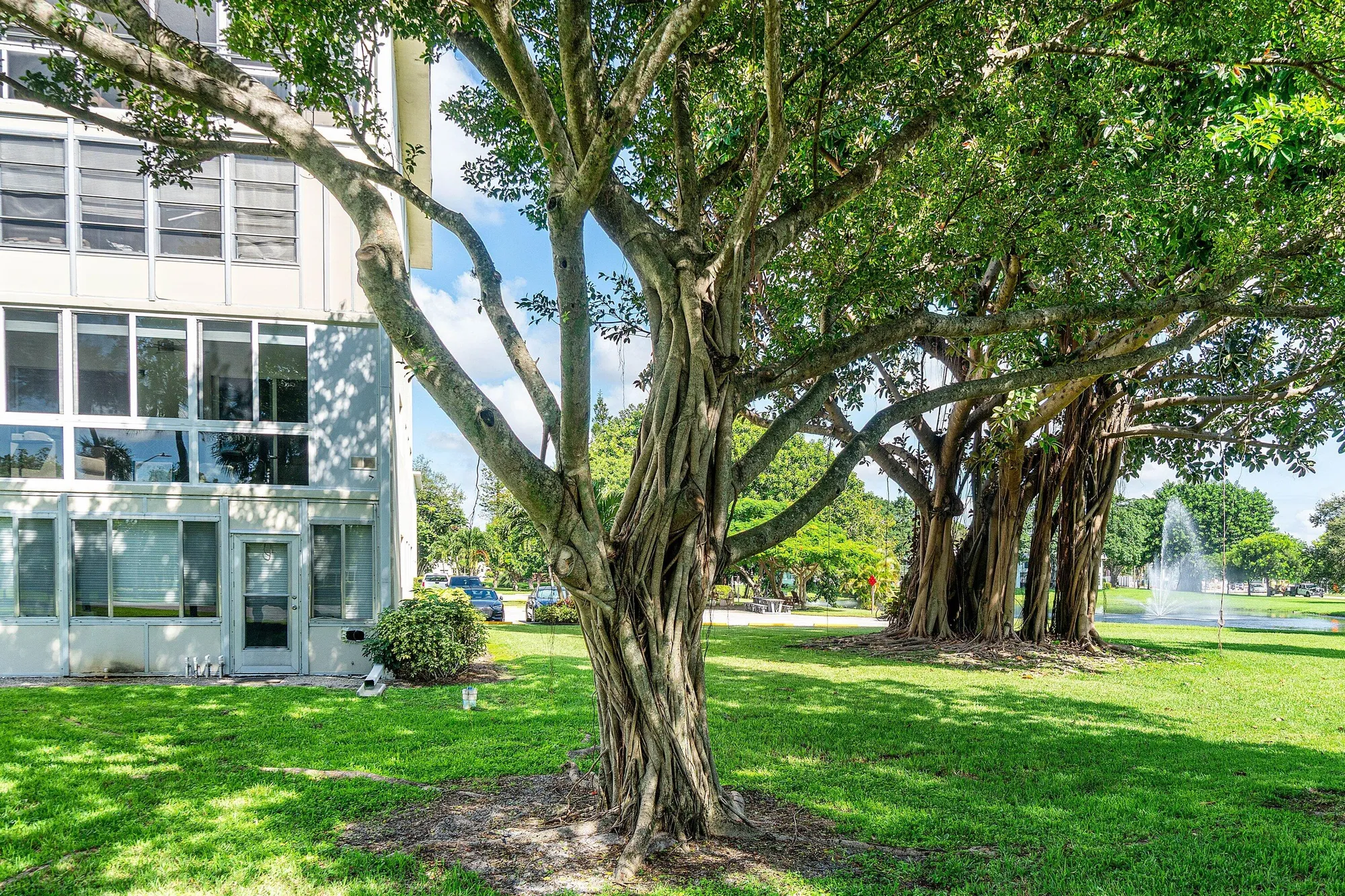 Property Slideshow image 24 of 26 | 4015 cambridge a, Deerfield Beach, FL, 33442