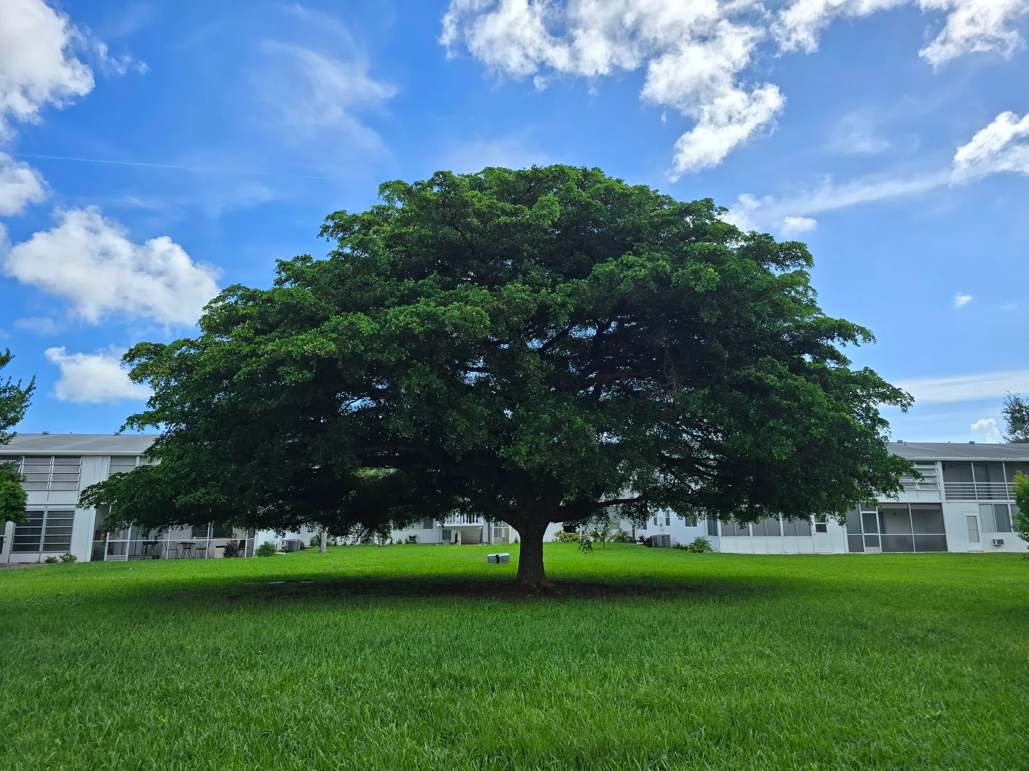 Property Slideshow image 20 of 33 | 294 farnham m # 294, Deerfield Beach, FL, 33442