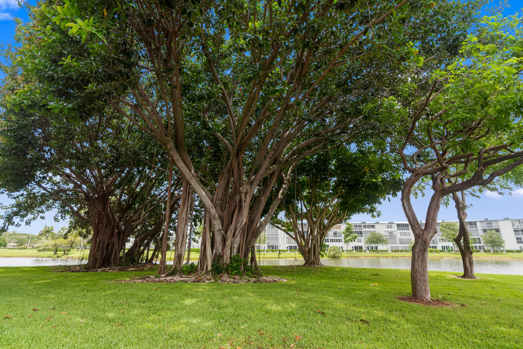 Property Slideshow image 29 of 48 | 4054 newcastle c, Boca Raton, FL, 33434