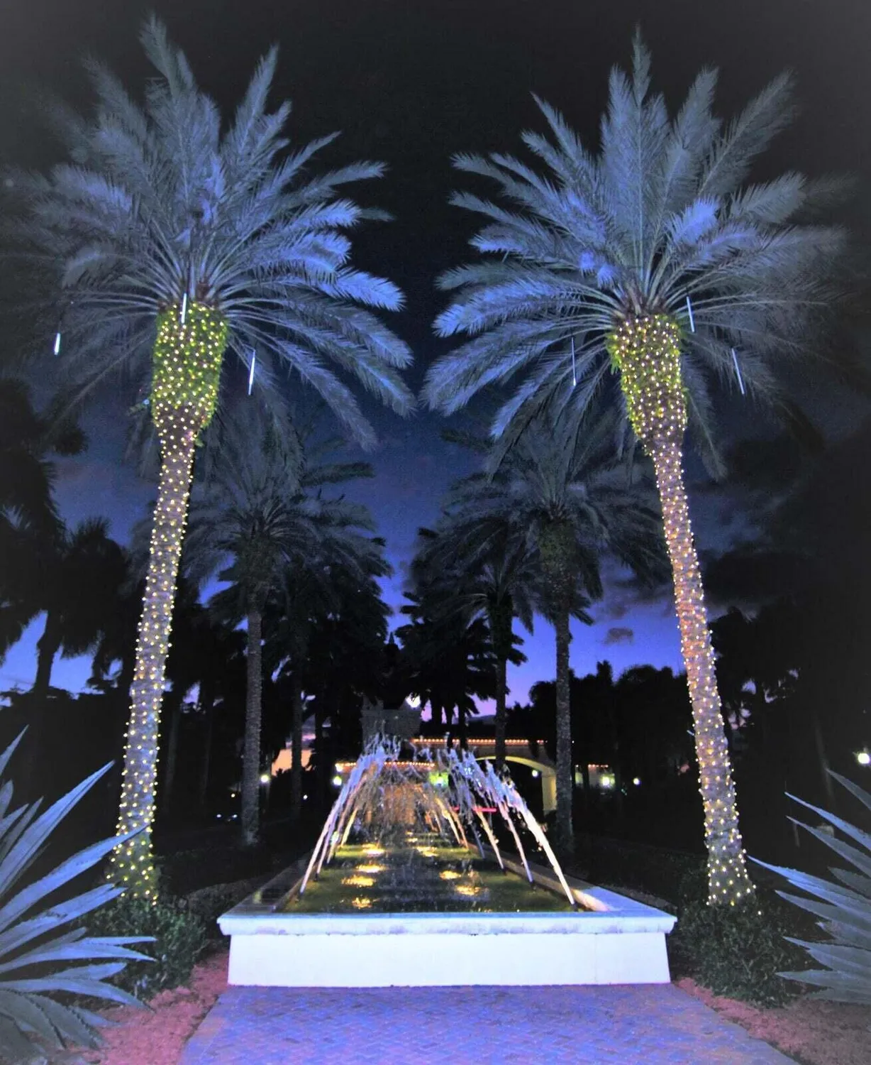 Property Slideshow image 73 of 73 | 13295 avila beach cv, Delray Beach, FL, 33446