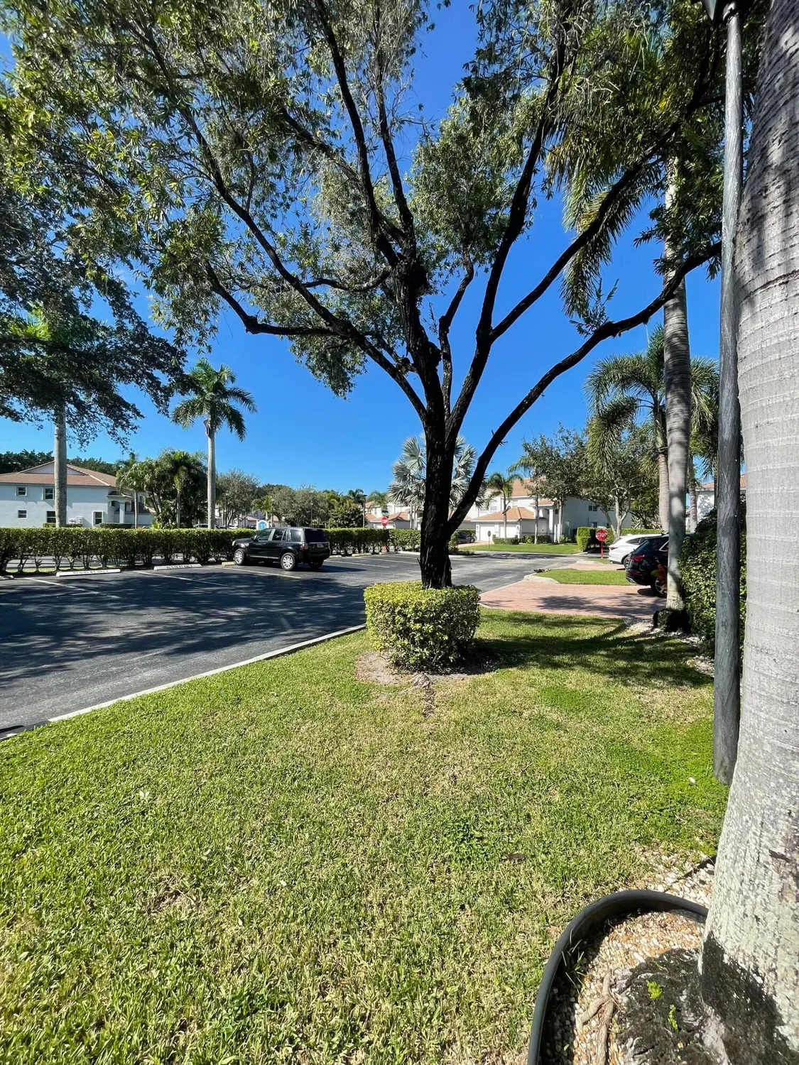 Property Slideshow image 58 of 59 | 7978 laina ln 3, Boynton Beach, FL, 33437