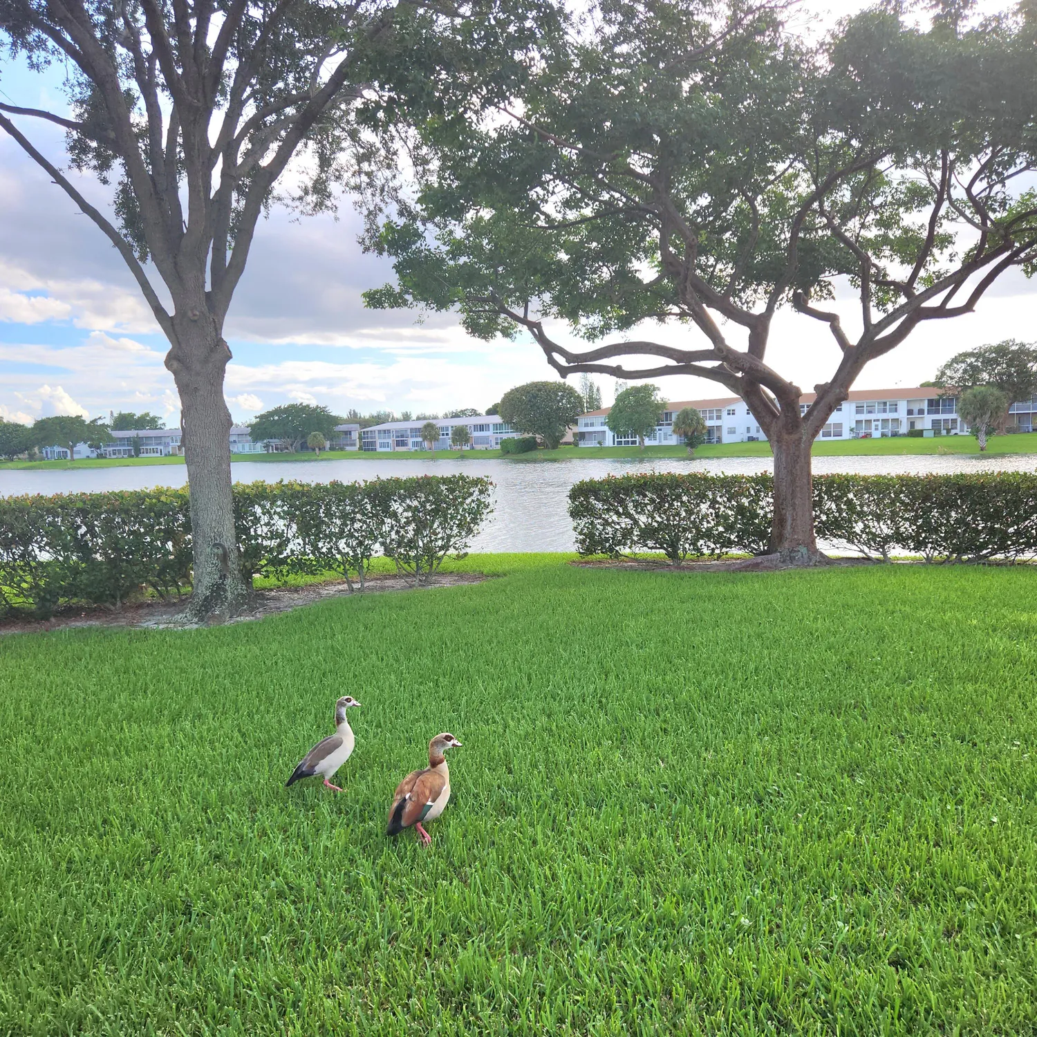 Property Slideshow image 33 of 33 | 106 coventry e unit e, West Palm Beach, FL, 33417