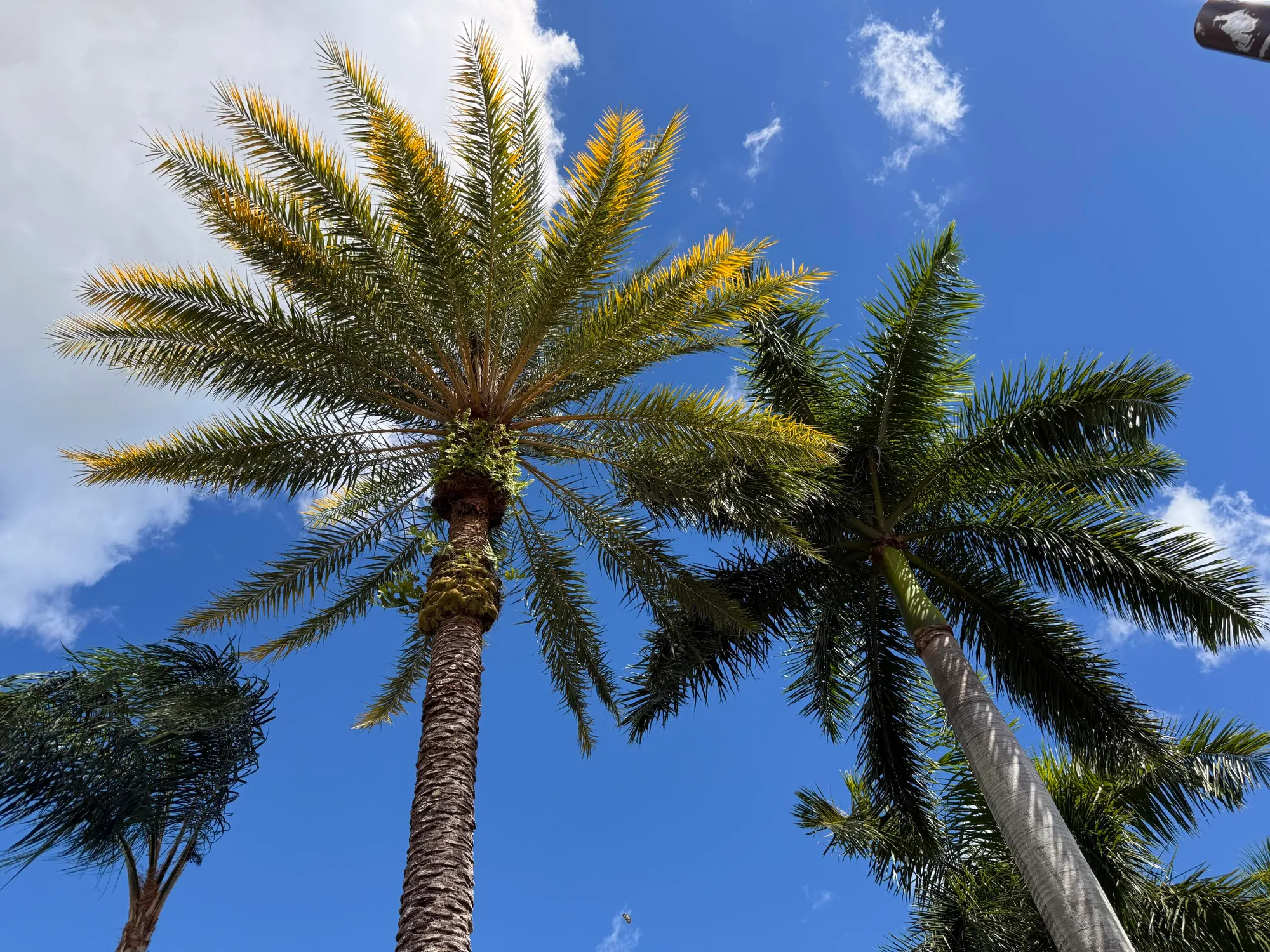 Property Slideshow image 26 of 27 | 633 nw whitfield way, Port Saint Lucie, FL, 34986