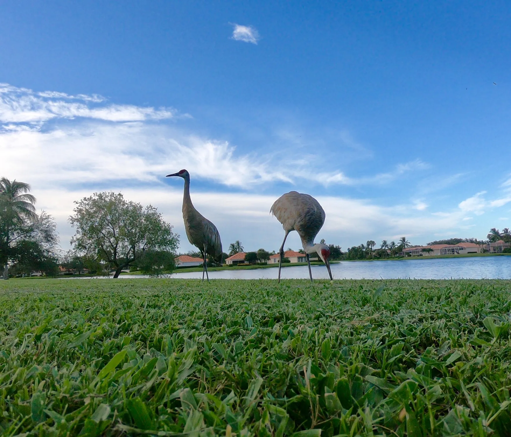 Property Slideshow image 49 of 56 | 7163 grassy bay dr, West Palm Beach, FL, 33411