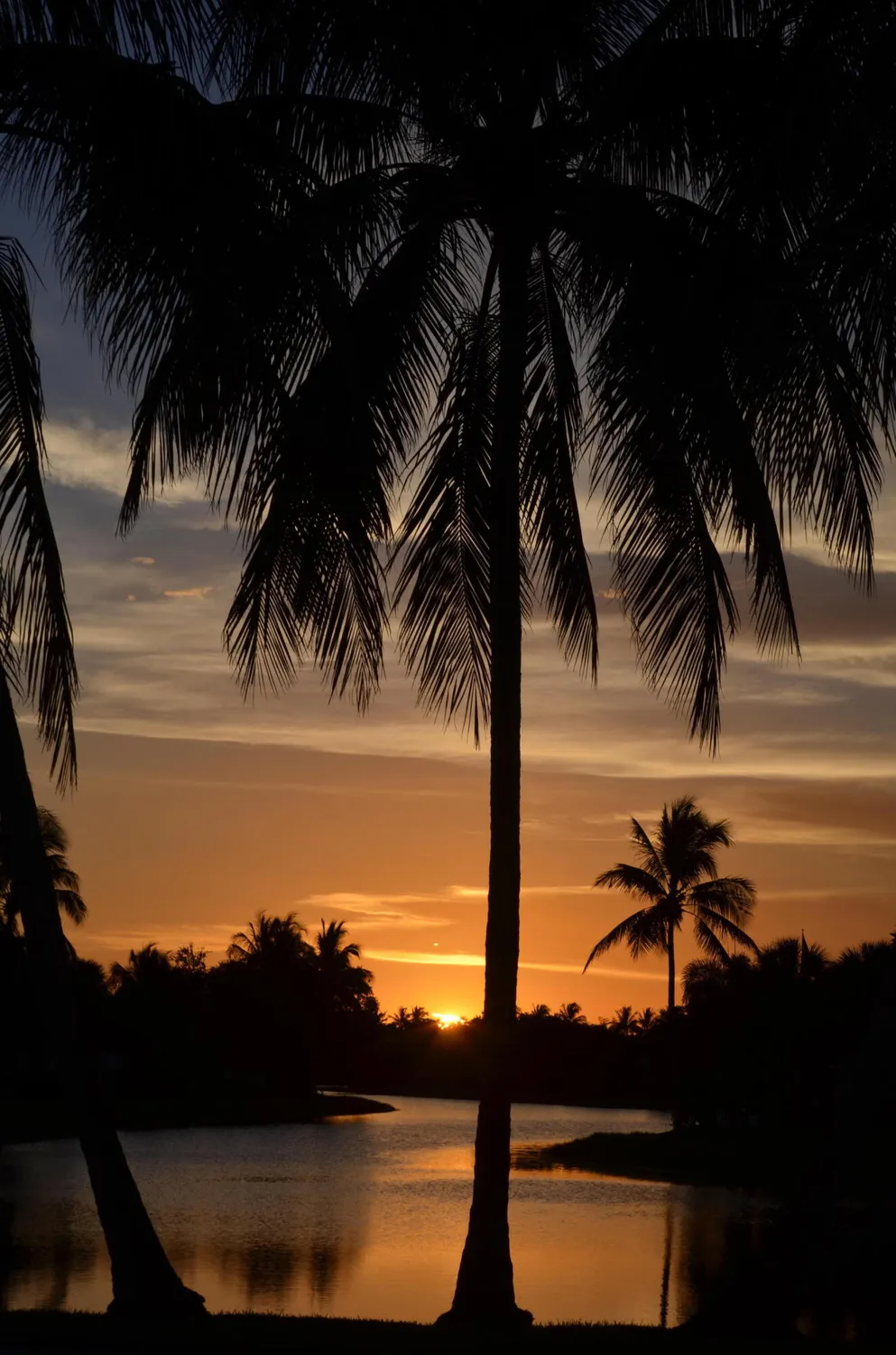 Property Slideshow image 56 of 56 | 7163 grassy bay dr, West Palm Beach, FL, 33411
