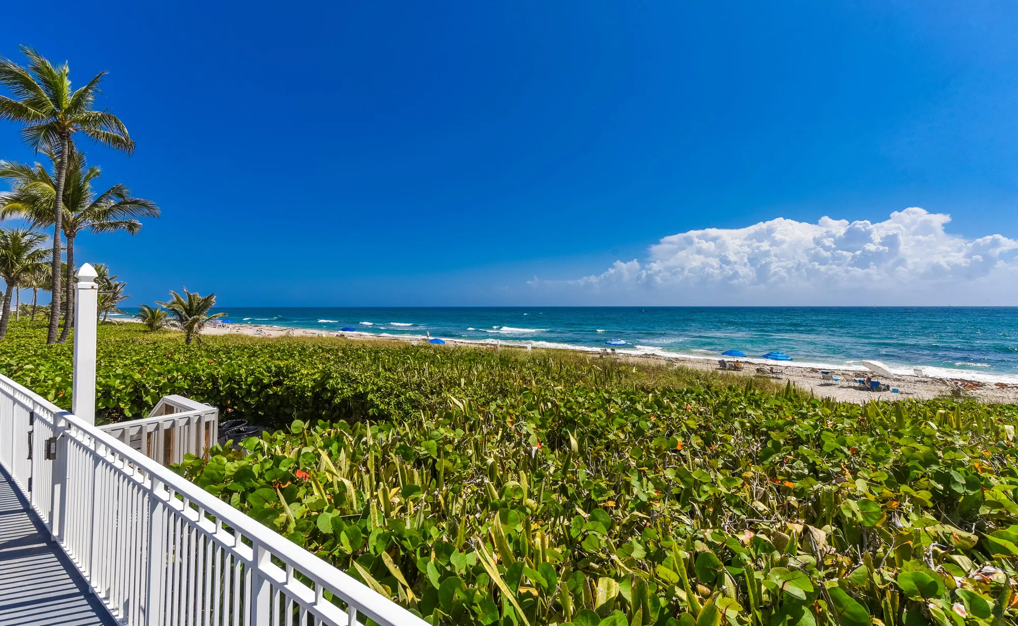 Property Slideshow image 39 of 42 | 3310 s ocean blvd apt 631d, Highland Beach, FL, 33487