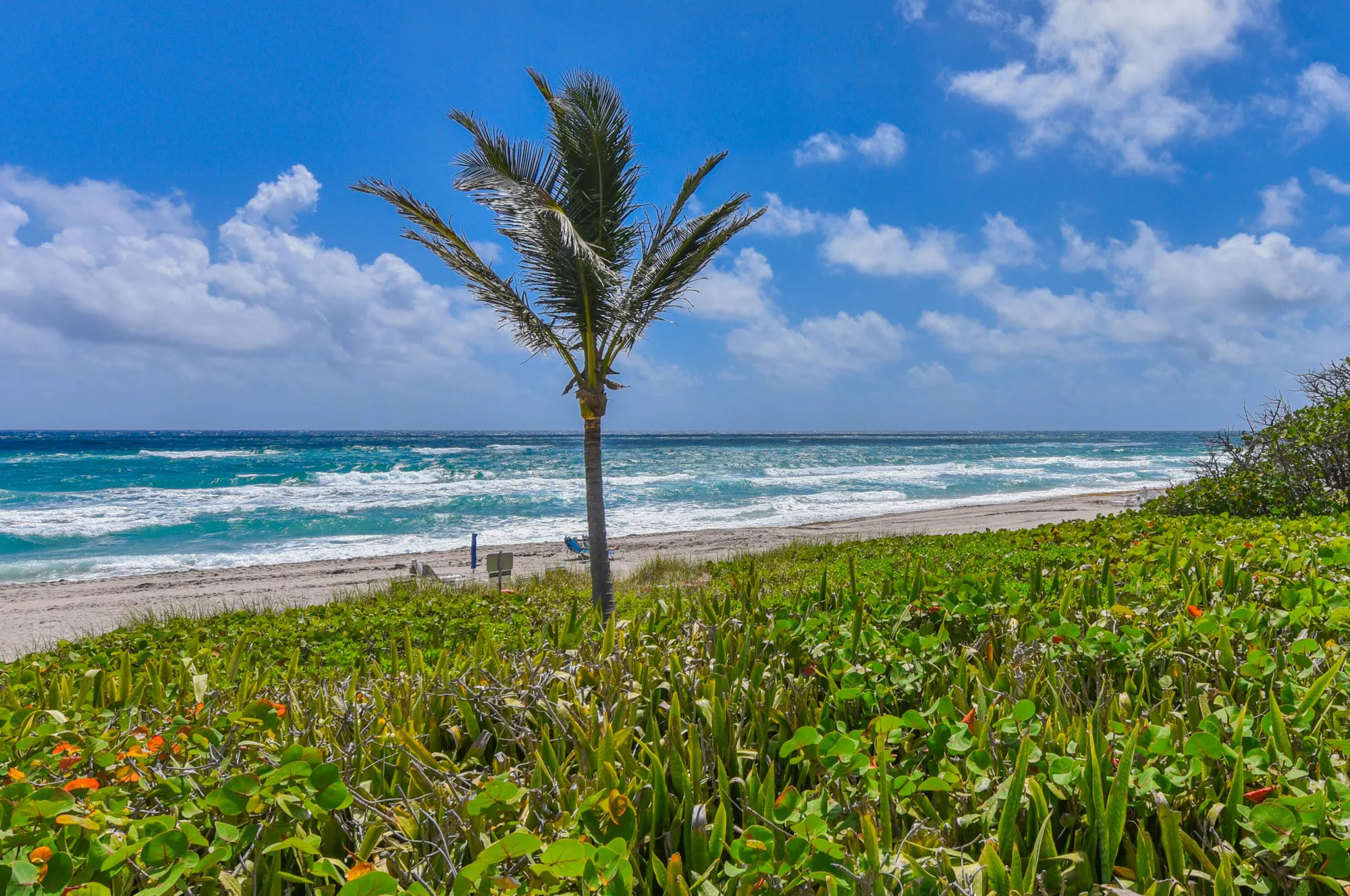 Property Slideshow image 41 of 42 | 3310 s ocean blvd apt 631d, Highland Beach, FL, 33487