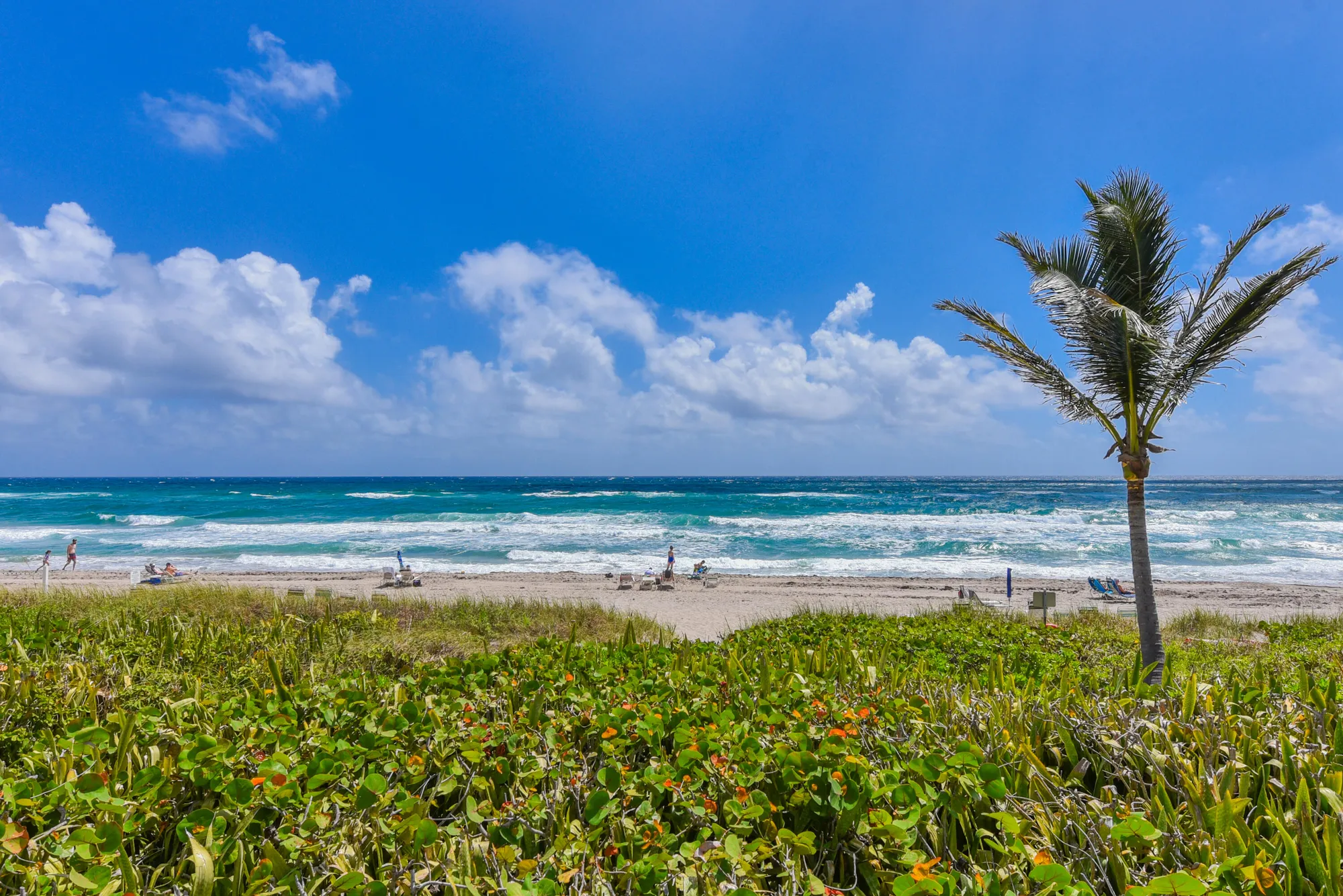 Property Slideshow image 40 of 42 | 3310 s ocean blvd apt 631d, Highland Beach, FL, 33487