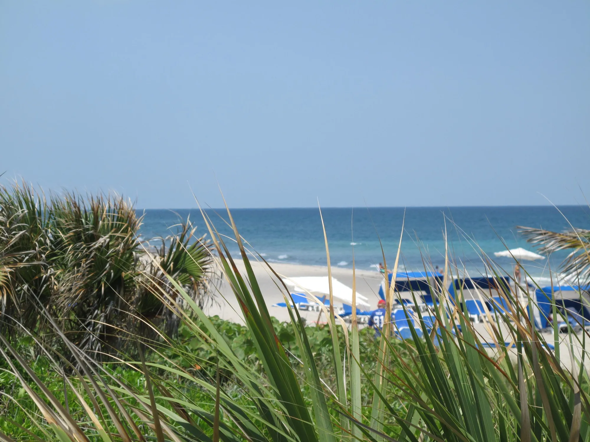 Property Slideshow image 44 of 46 | 4490 nutmeg tree ln b, Boynton Beach, FL, 33436