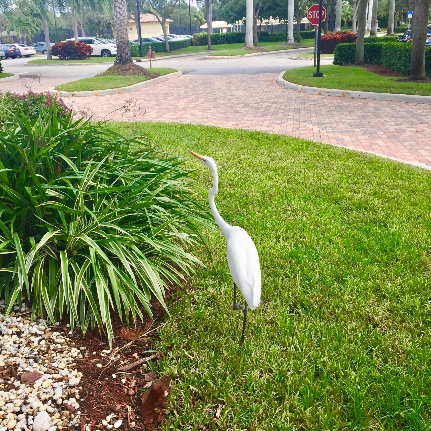 Property Slideshow image 35 of 75 | 7415 w mercada way, Delray Beach, FL, 33446