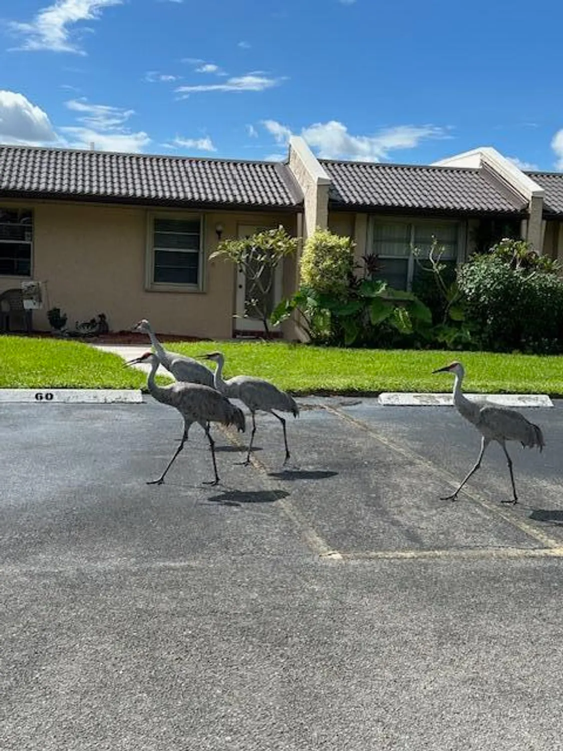Property Slideshow image 22 of 41 | 417 lake evelyn dr, West Palm Beach, FL, 33411