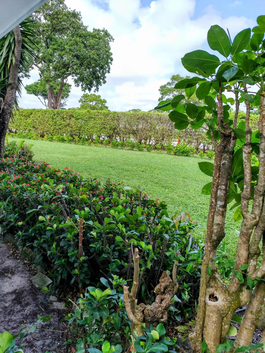 Property Slideshow image 25 of 36 | 5020 petal pl a, Delray Beach, FL, 33484