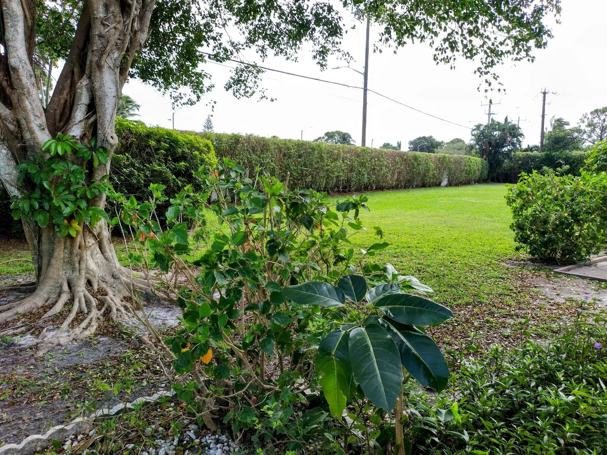 Property Slideshow image 23 of 36 | 5020 petal pl a, Delray Beach, FL, 33484