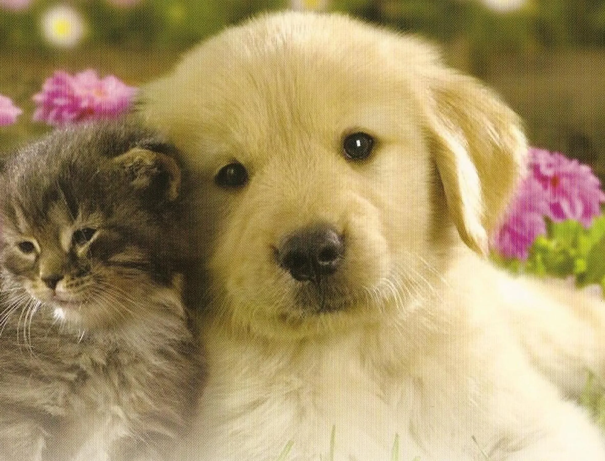 Property Slideshow image 57 of 83 | 5300 grey birch ln, Boynton Beach, FL, 33437