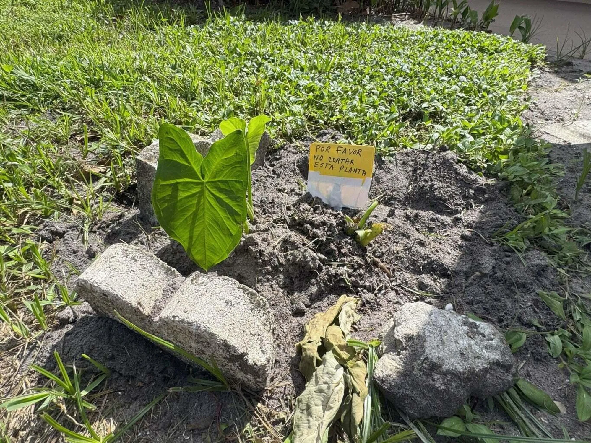 Property Slideshow image 16 of 40 | 301 seville m, Delray Beach, FL, 33446