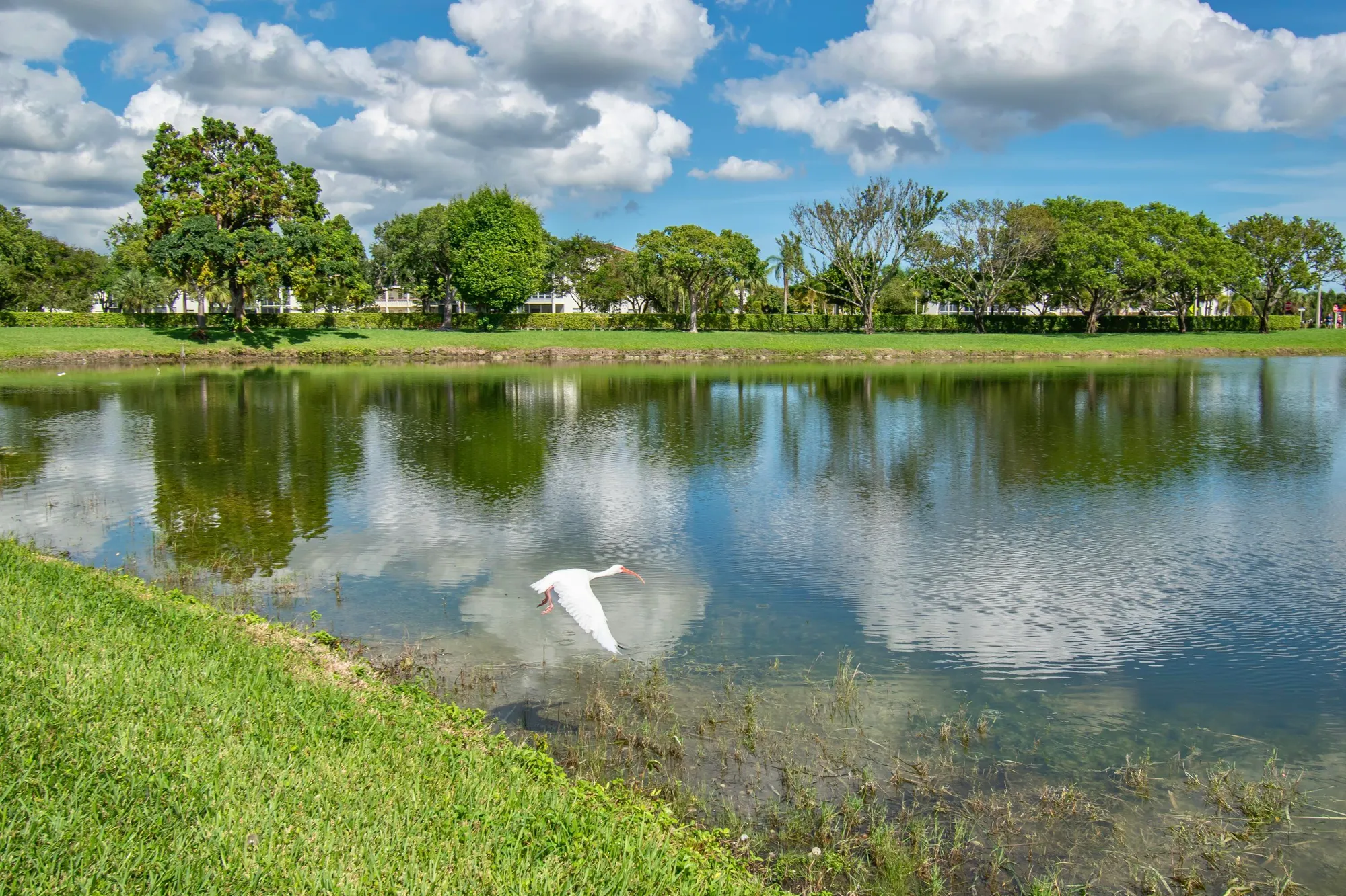 Property Slideshow image 28 of 28 | 2085 wolverton e unit e, Boca Raton, FL, 33434
