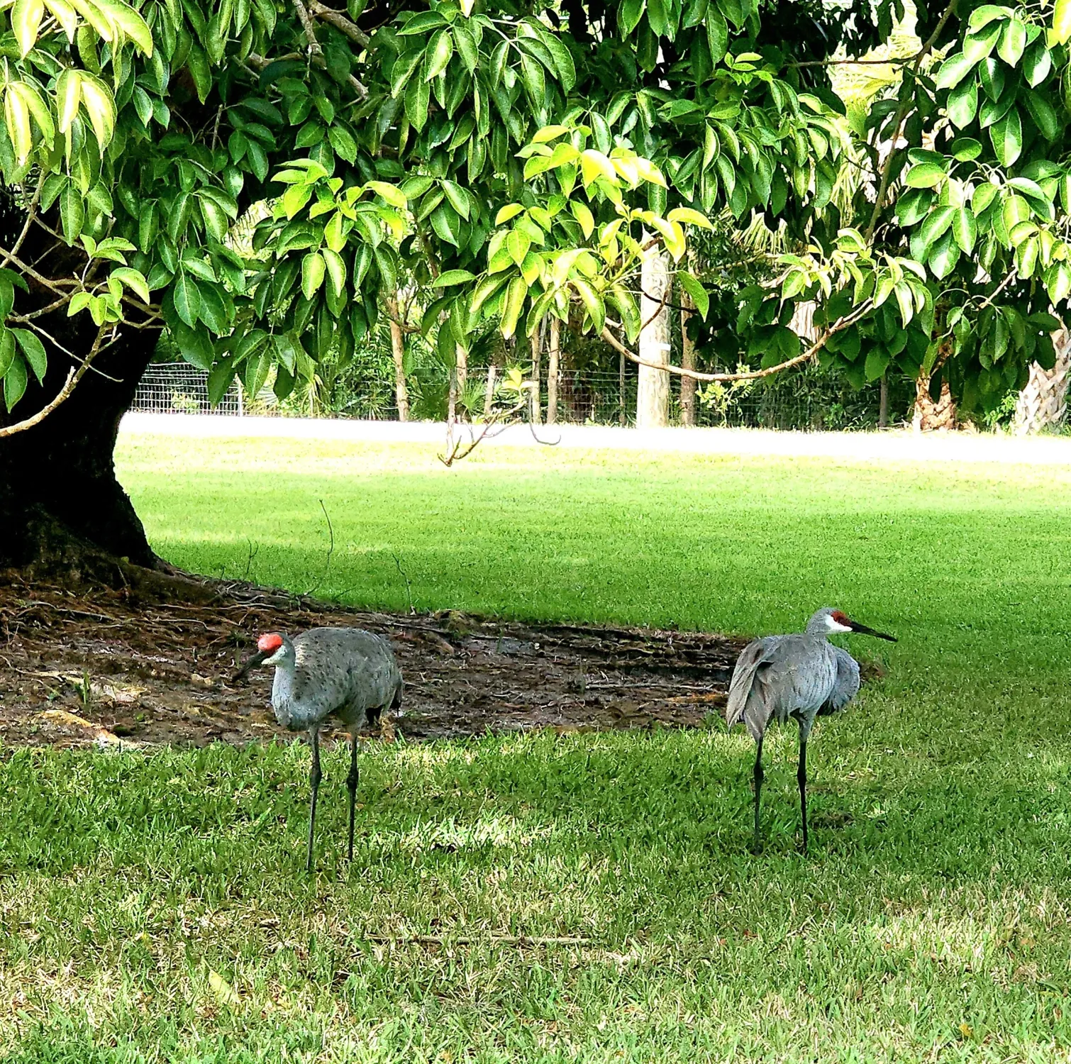 Property Slideshow image 32 of 33 | 18081 se country club dr # 13-125, Jupiter, FL, 33469