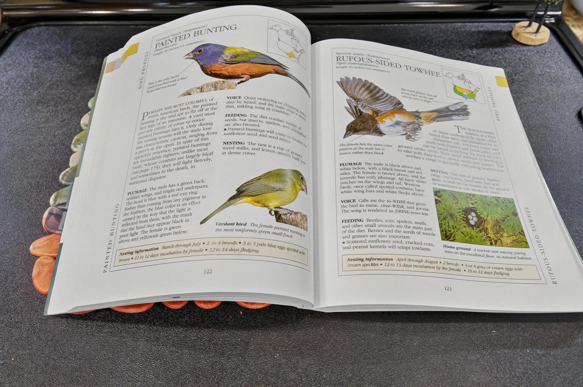 Property Slideshow image 37 of 75 | 15436 rosaire ln, Delray Beach, FL, 33484