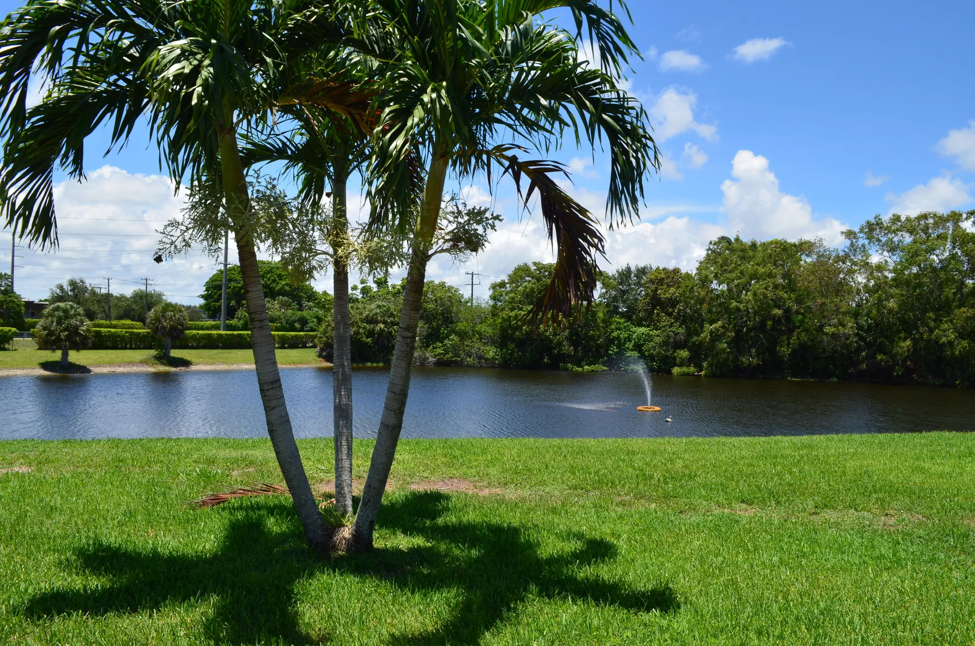 Property Slideshow image 28 of 61 | 15924 laurel oak cir, Delray Beach, FL, 33484