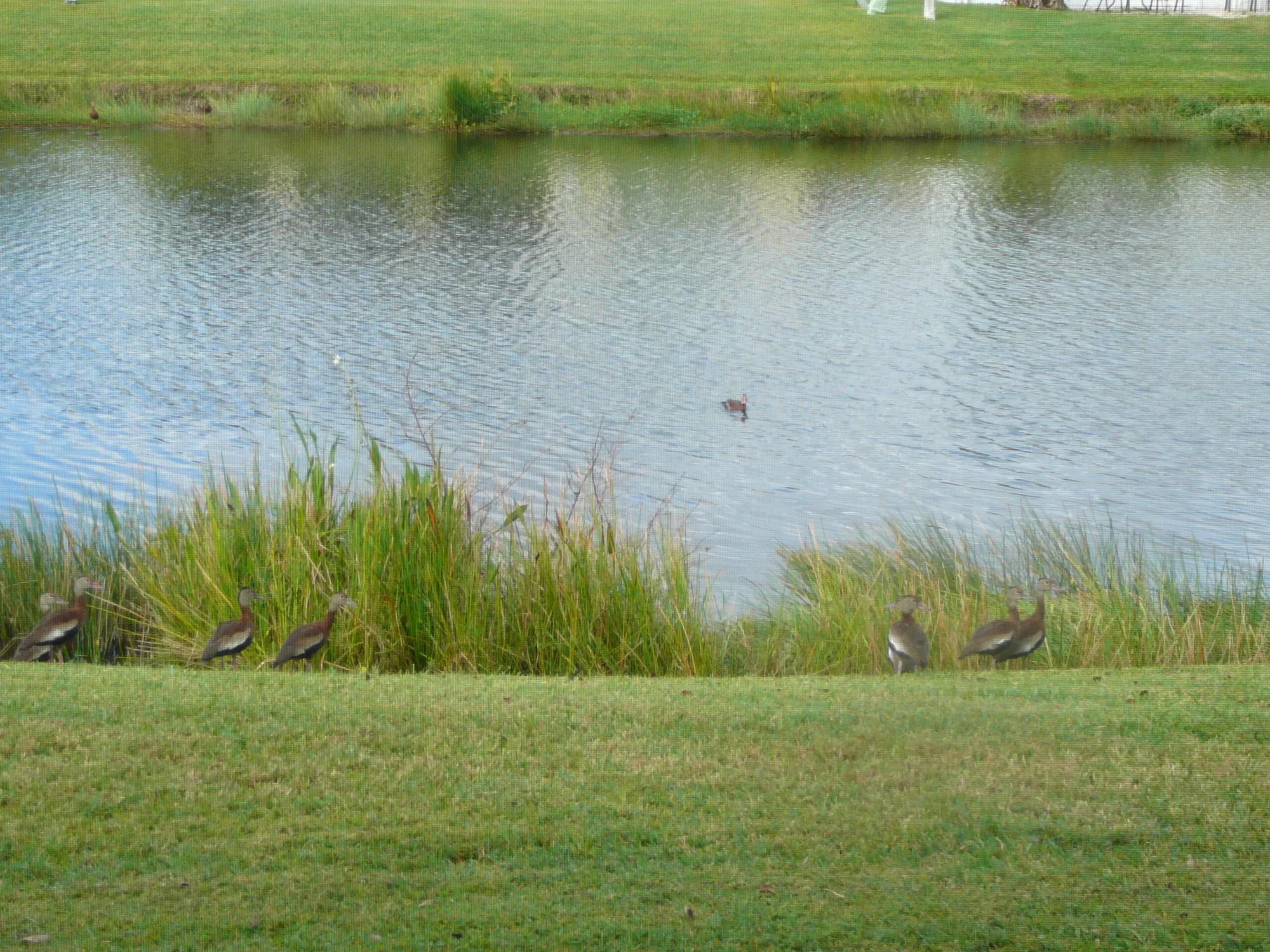 Property Slideshow image 11 of 57 | 6238 alexandria cir, Fort Pierce, FL, 34982