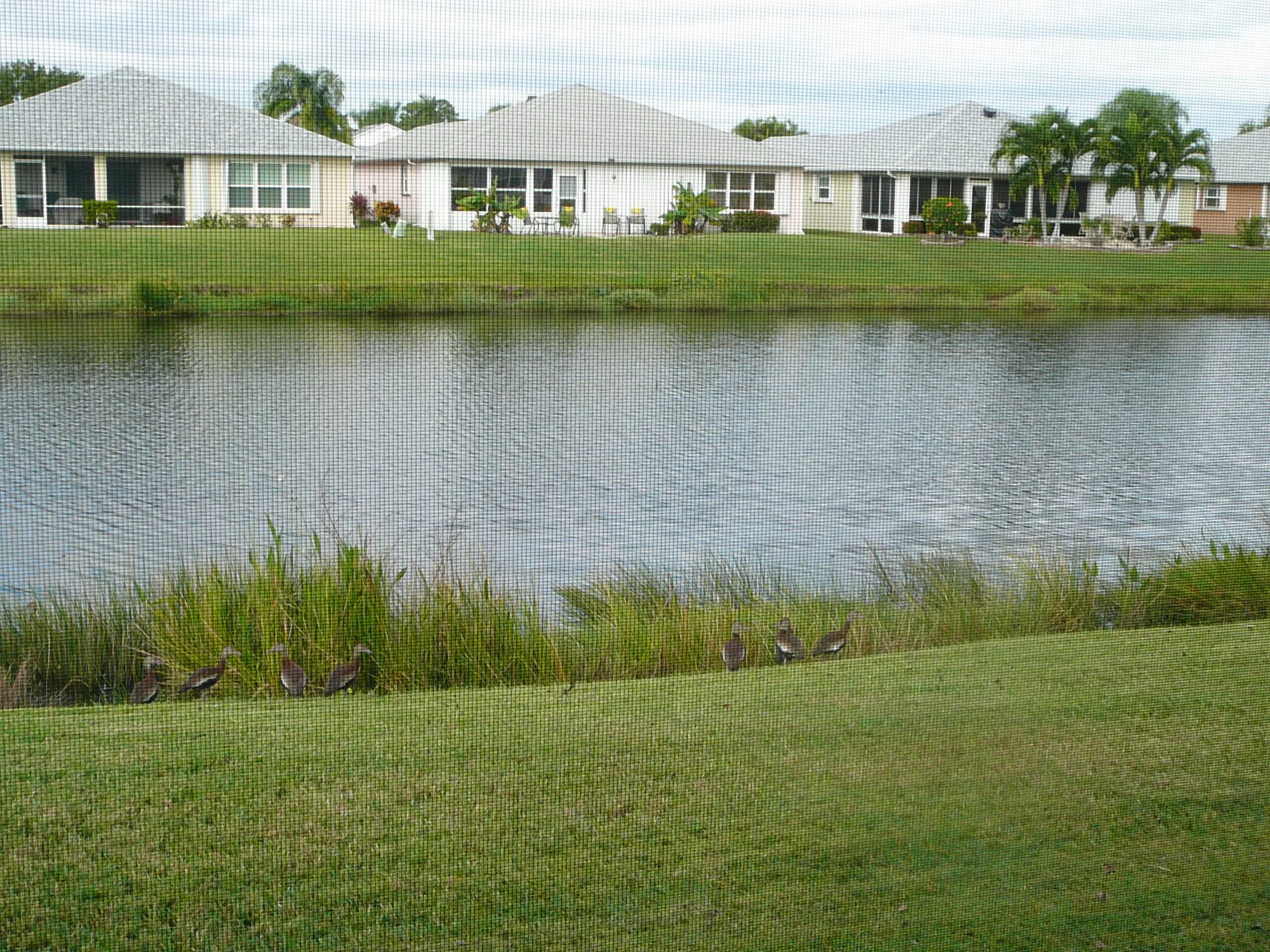 Property Slideshow image 13 of 57 | 6238 alexandria cir, Fort Pierce, FL, 34982