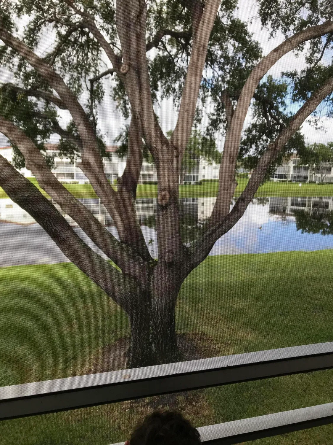 Property Slideshow image 9 of 9 | 229 fanshaw f, Boca Raton, FL, 33434