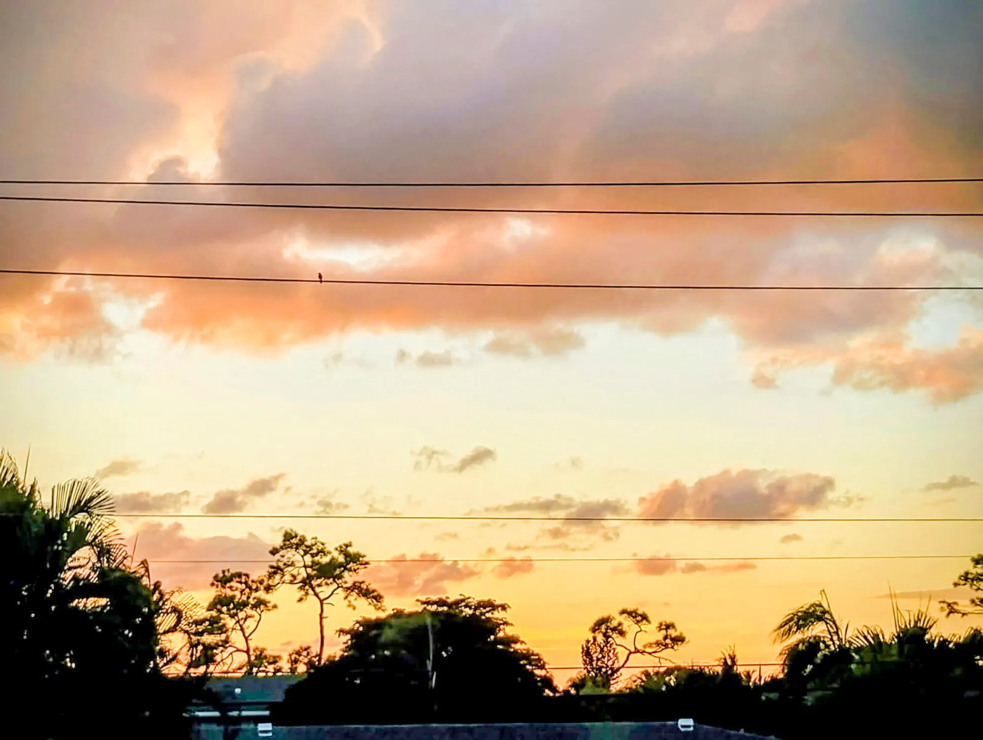 Property Slideshow image 15 of 22 | 1151 calamondin ter 204, Delray Beach, FL, 33445