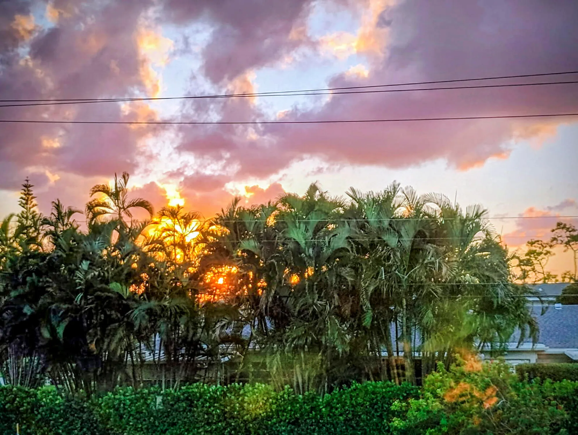 Property Slideshow image 14 of 22 | 1151 calamondin ter 204, Delray Beach, FL, 33445