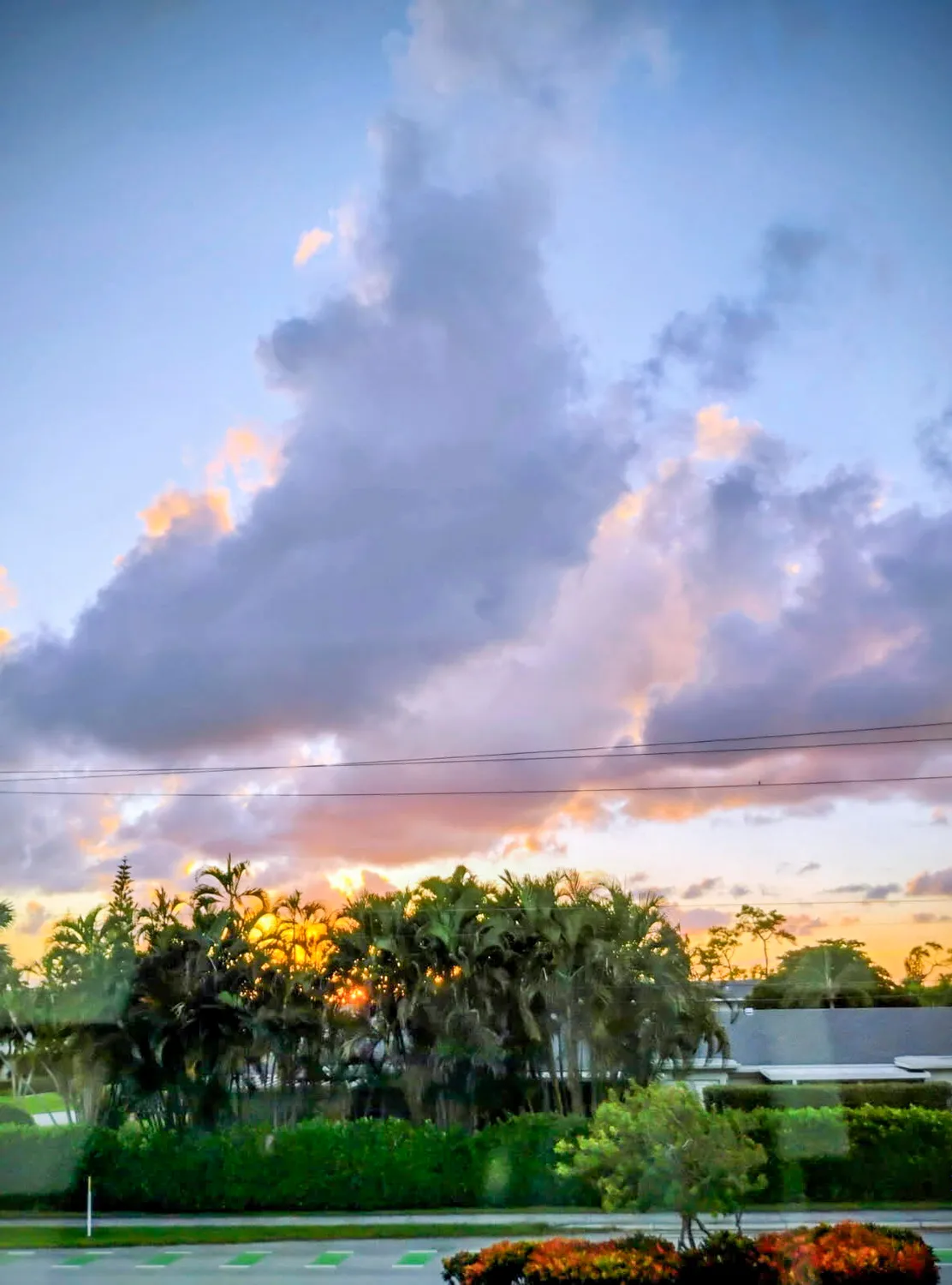 Property Slideshow image 16 of 22 | 1151 calamondin ter 204, Delray Beach, FL, 33445